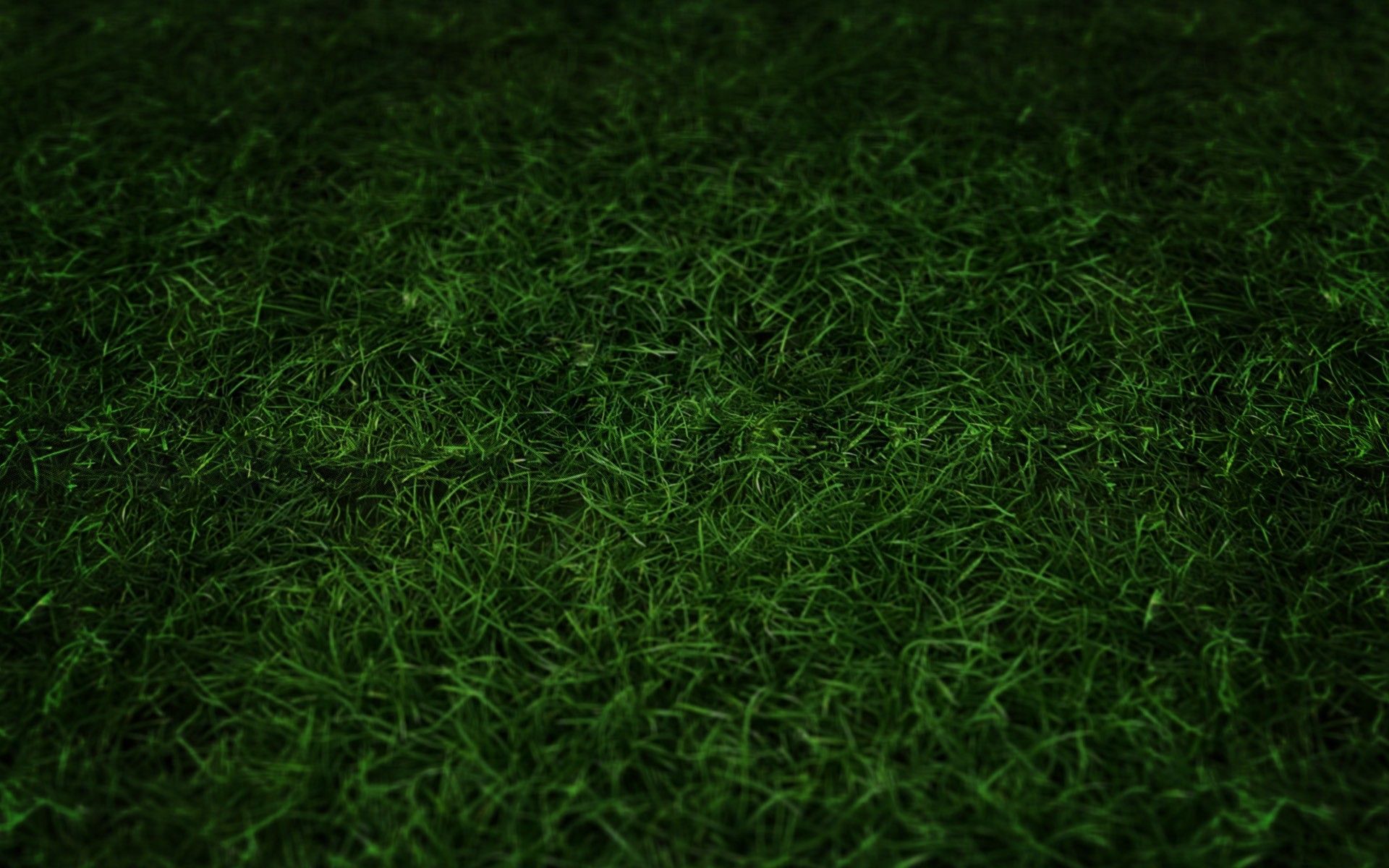 Grass Wallpapers HD PixelsTalk Green Grass fondo de pantalla fondo de pantalla gratis