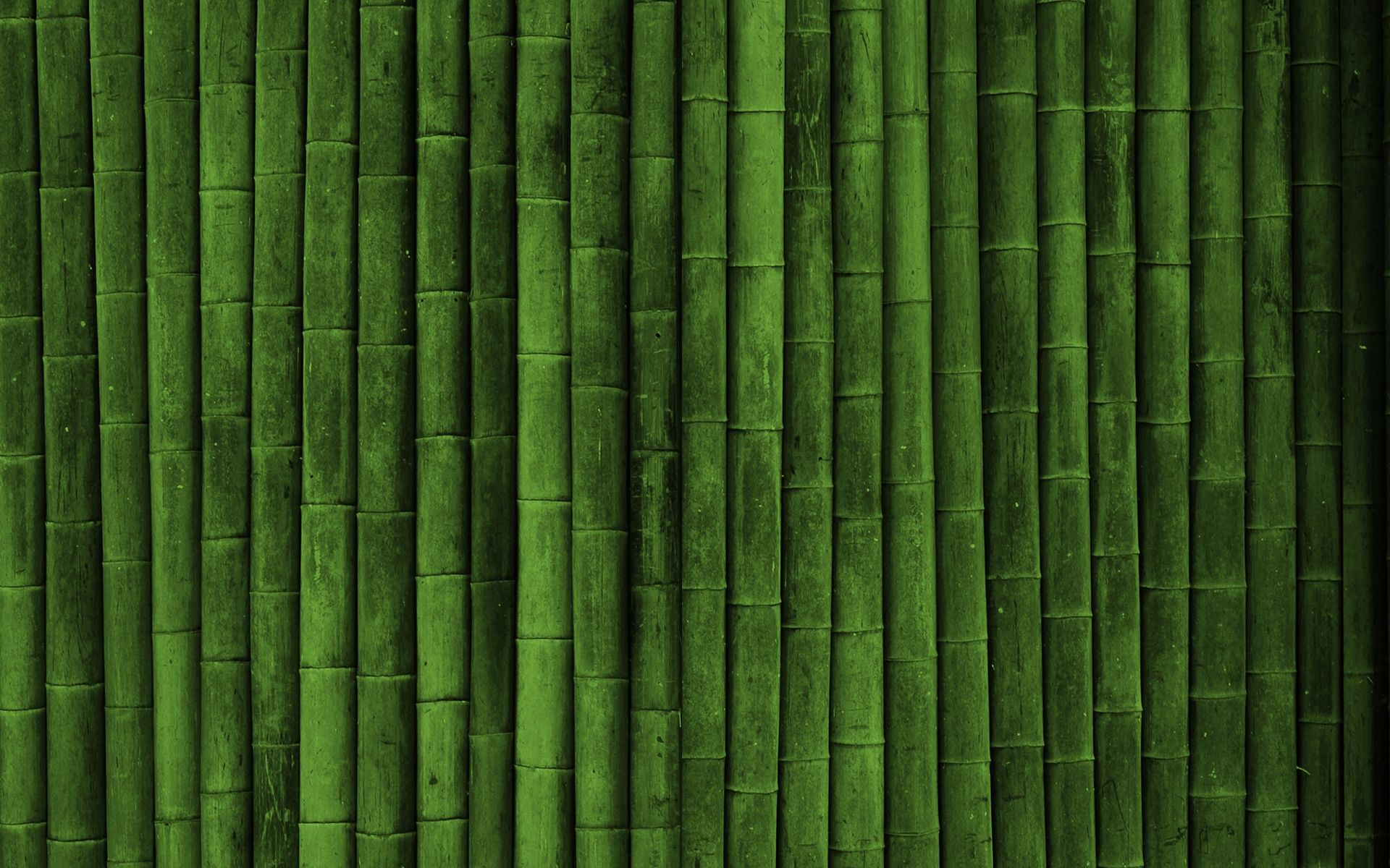 Fondos de pantalla de bambú - FondosMil
