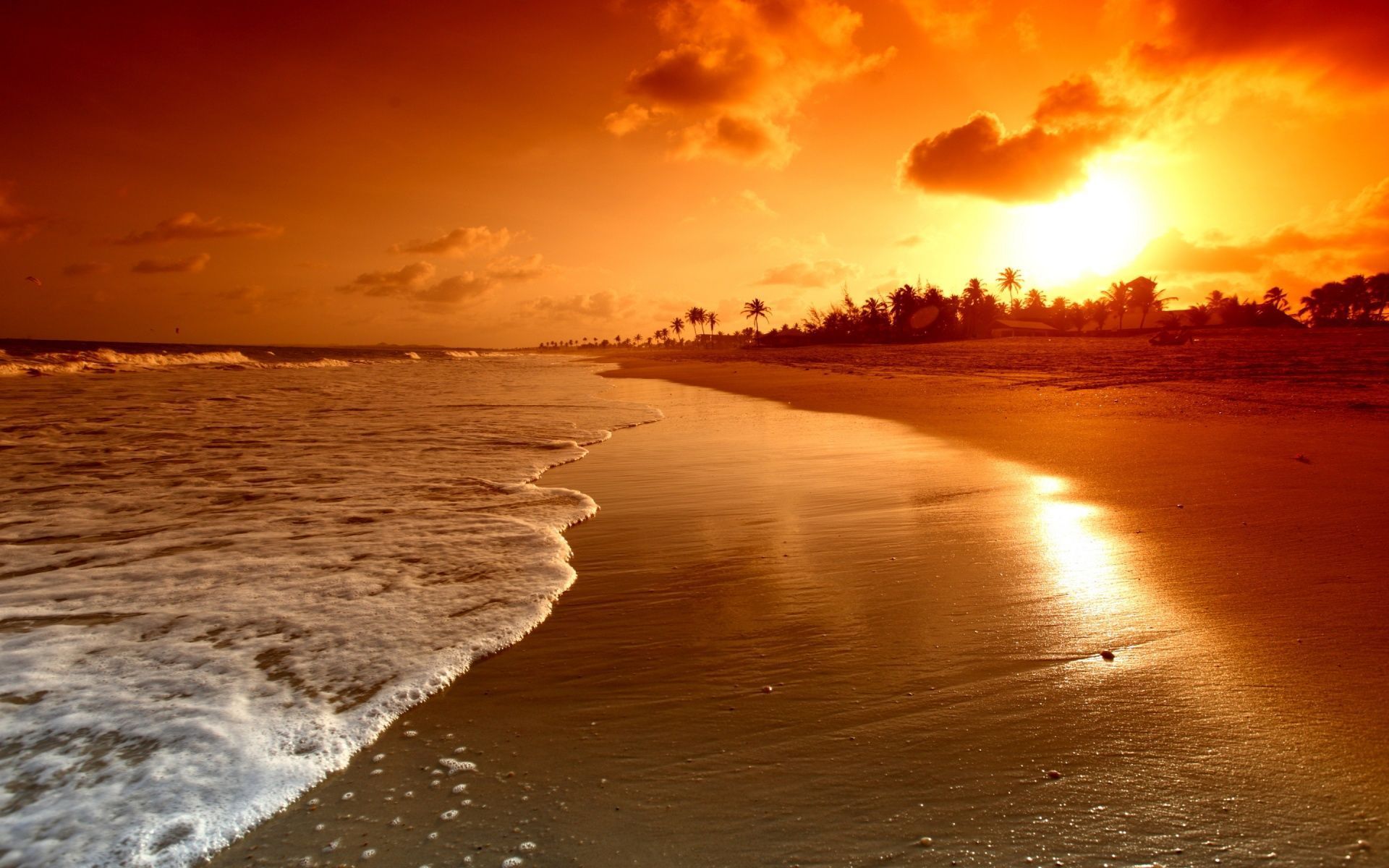 50+ California Beach Sunset Wallpapers - Descargar