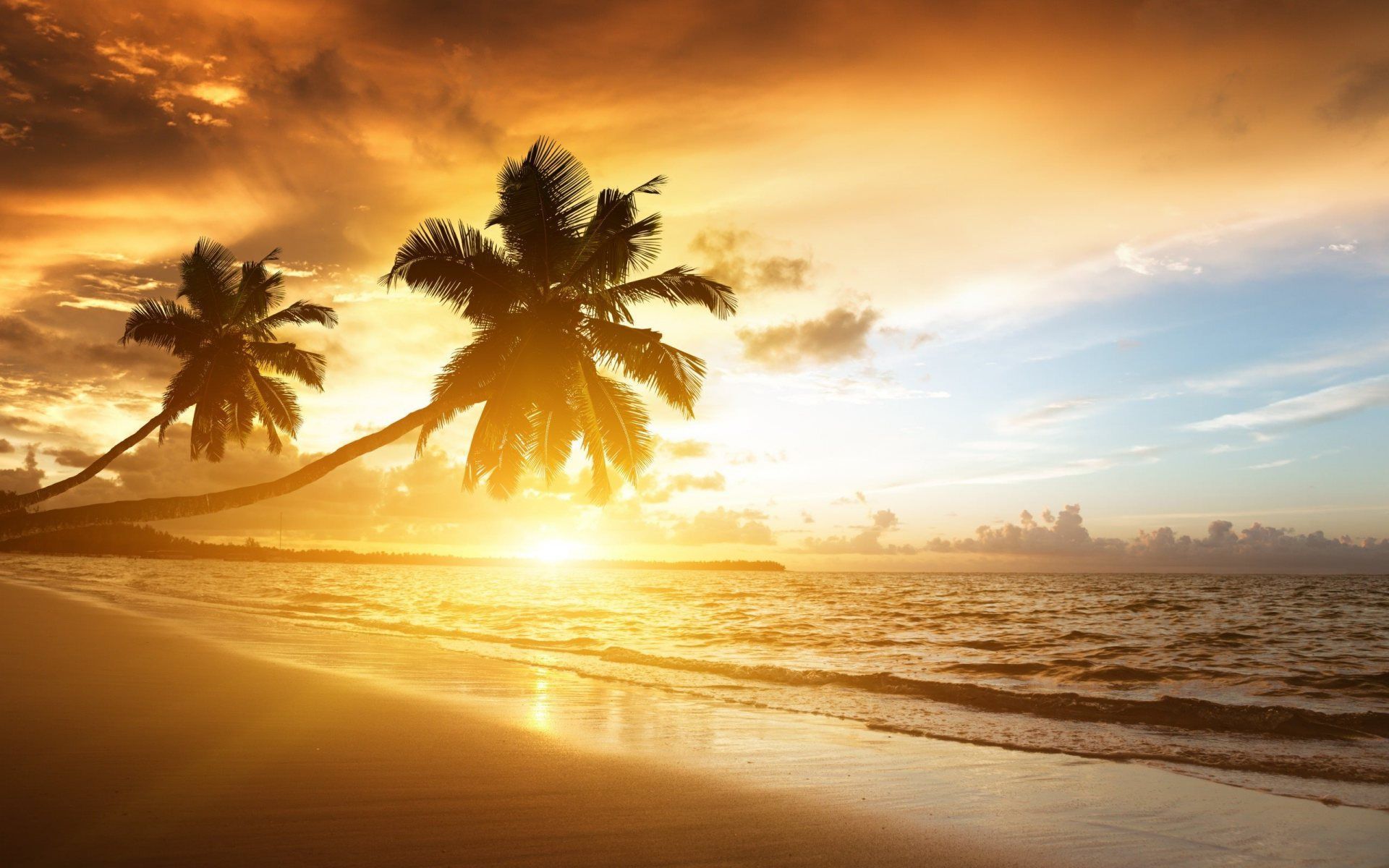 puesta de sol en la playa | Puestas de sol | Fondo de pantalla Sunset, Fondo de pantalla de playa, Sunrise