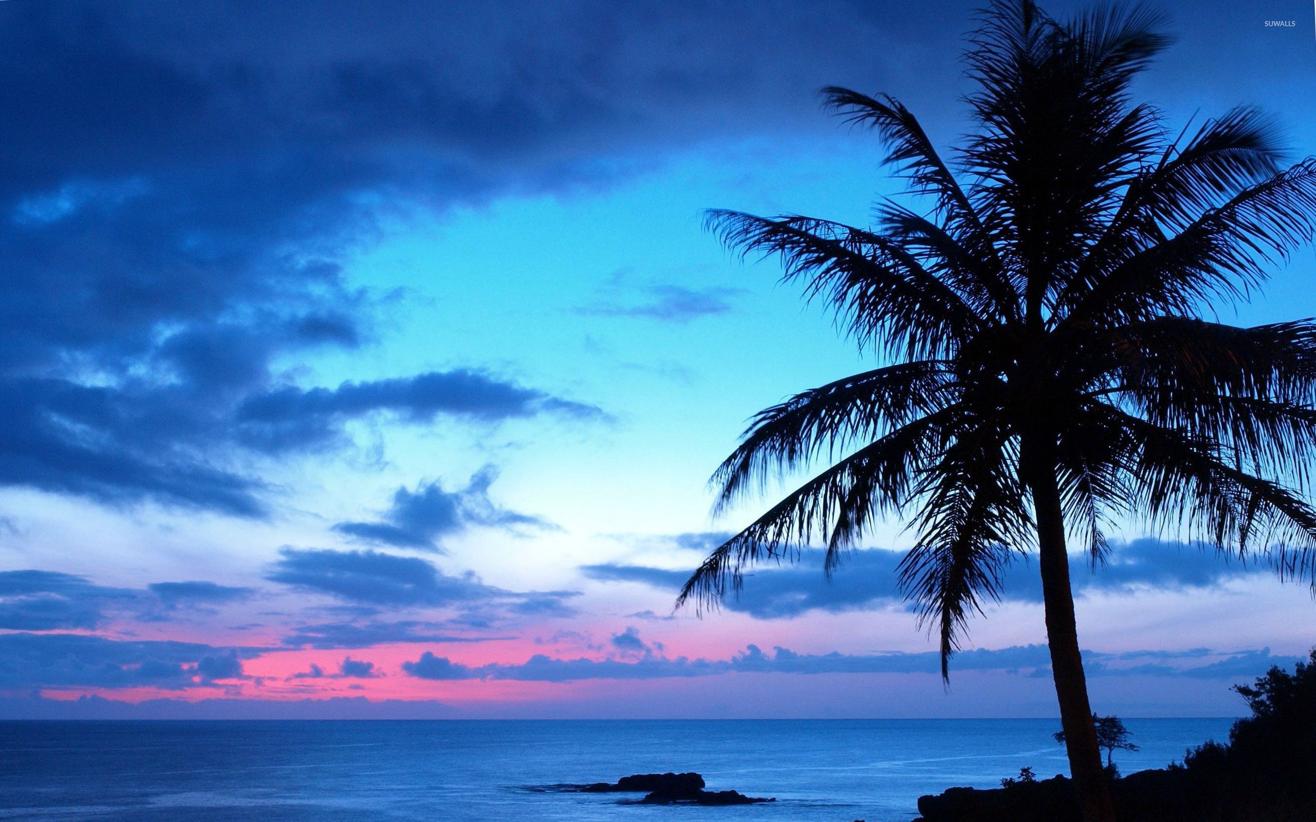 Fondo de pantalla de puesta de sol azul - Fondos de pantalla de playa - # 27271