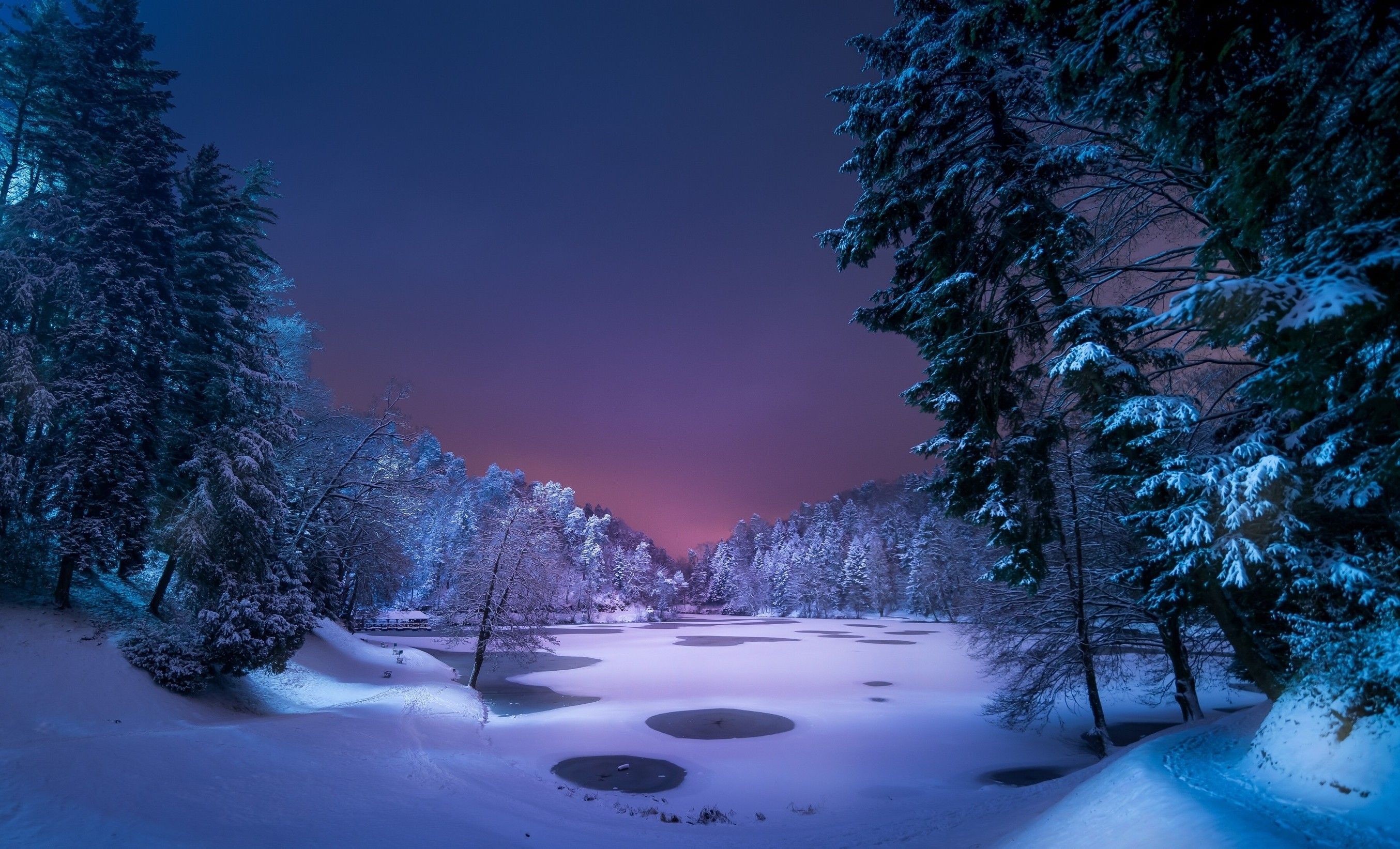 Noche, Paisaje, Nieve, Hielo, Invierno, Árboles, Naturaleza (# 365983) - HD