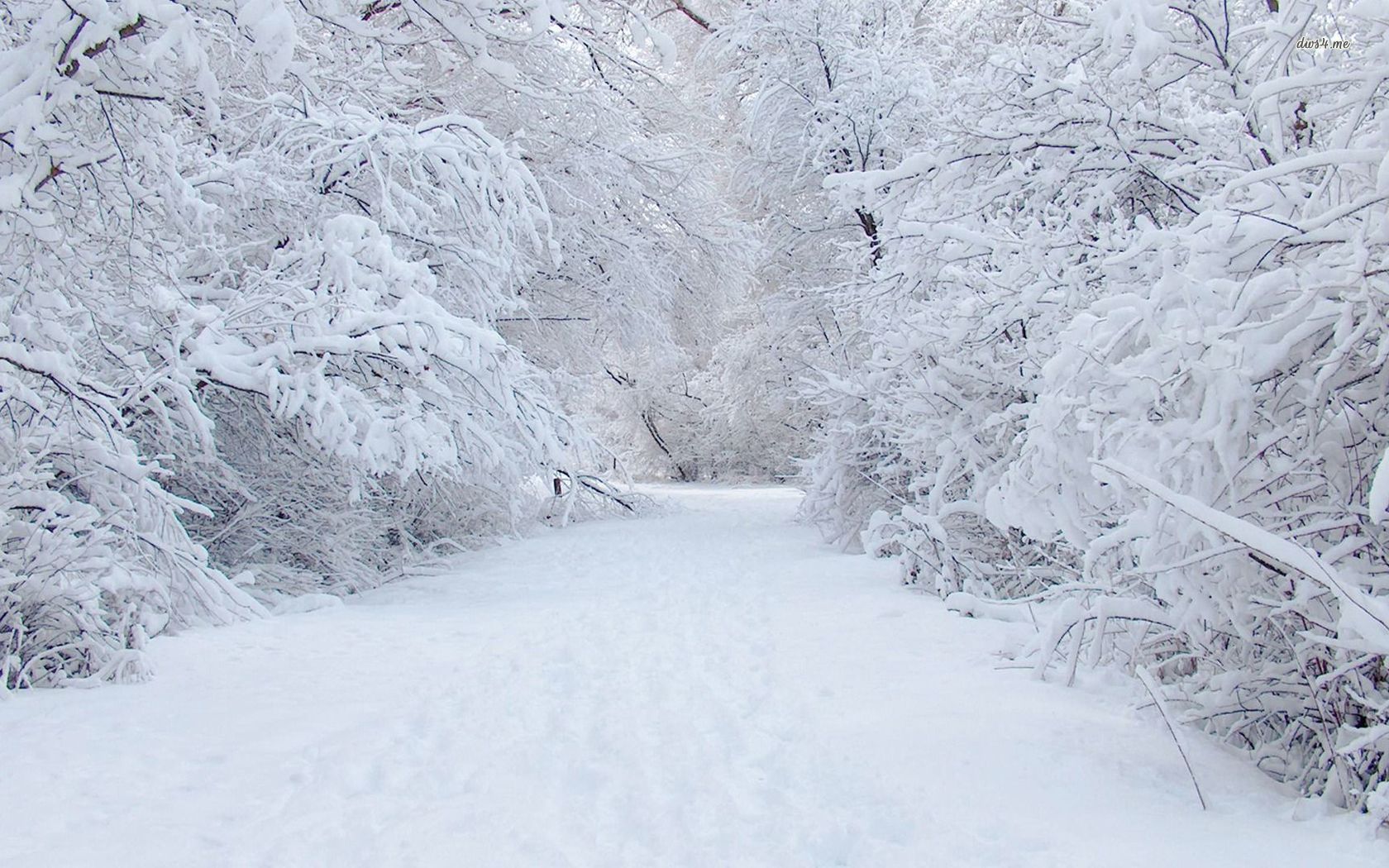 Snow Photos and Pictures, Snow HD Cover Wallpapers descargar gratis en