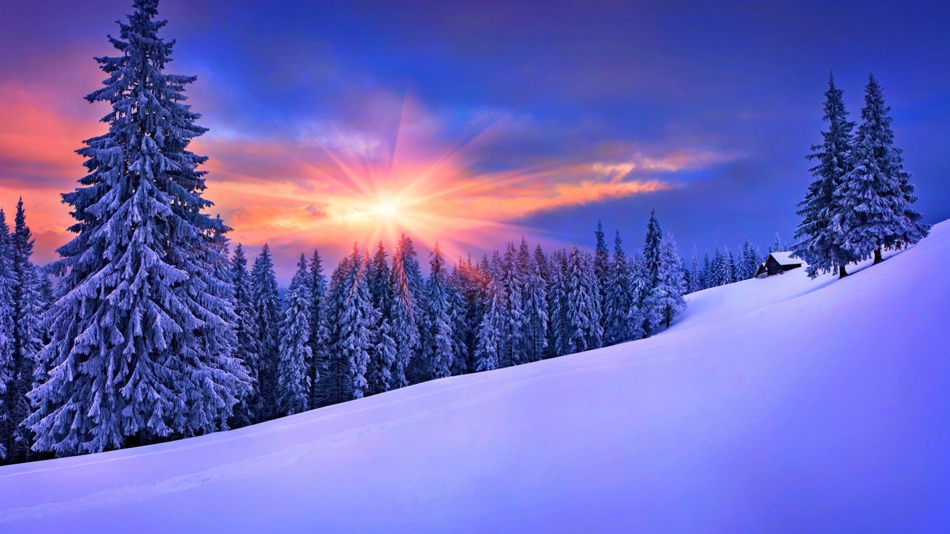 naturaleza, invierno, paisaje, nieve Fondos de pantalla HD / Escritorio y móvil