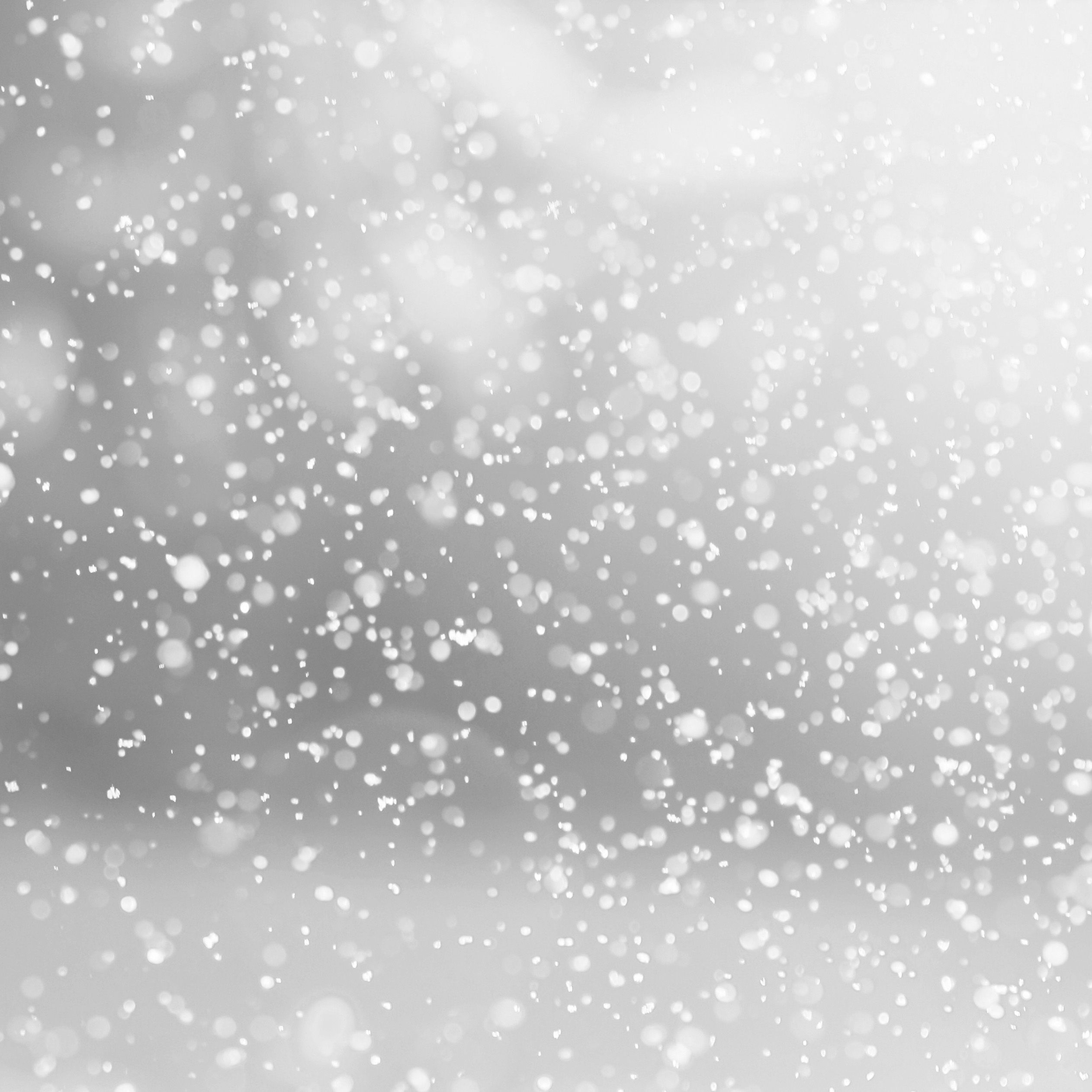 Nieve soplada invierno fondos de pantalla