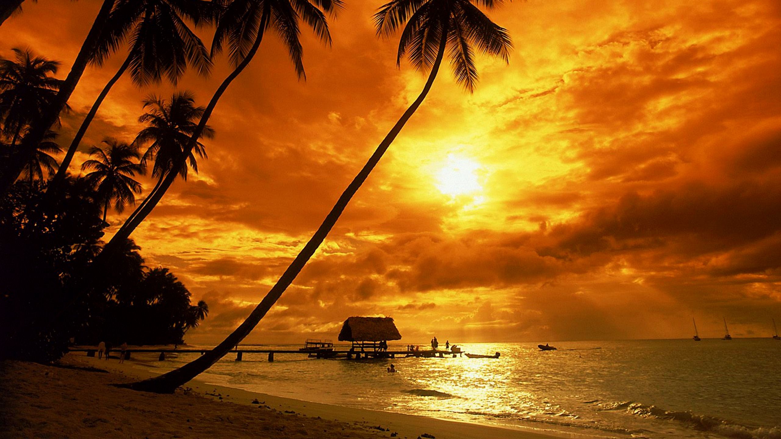Fondo de pantalla de puesta de sol tropical - Beach Wallpapers