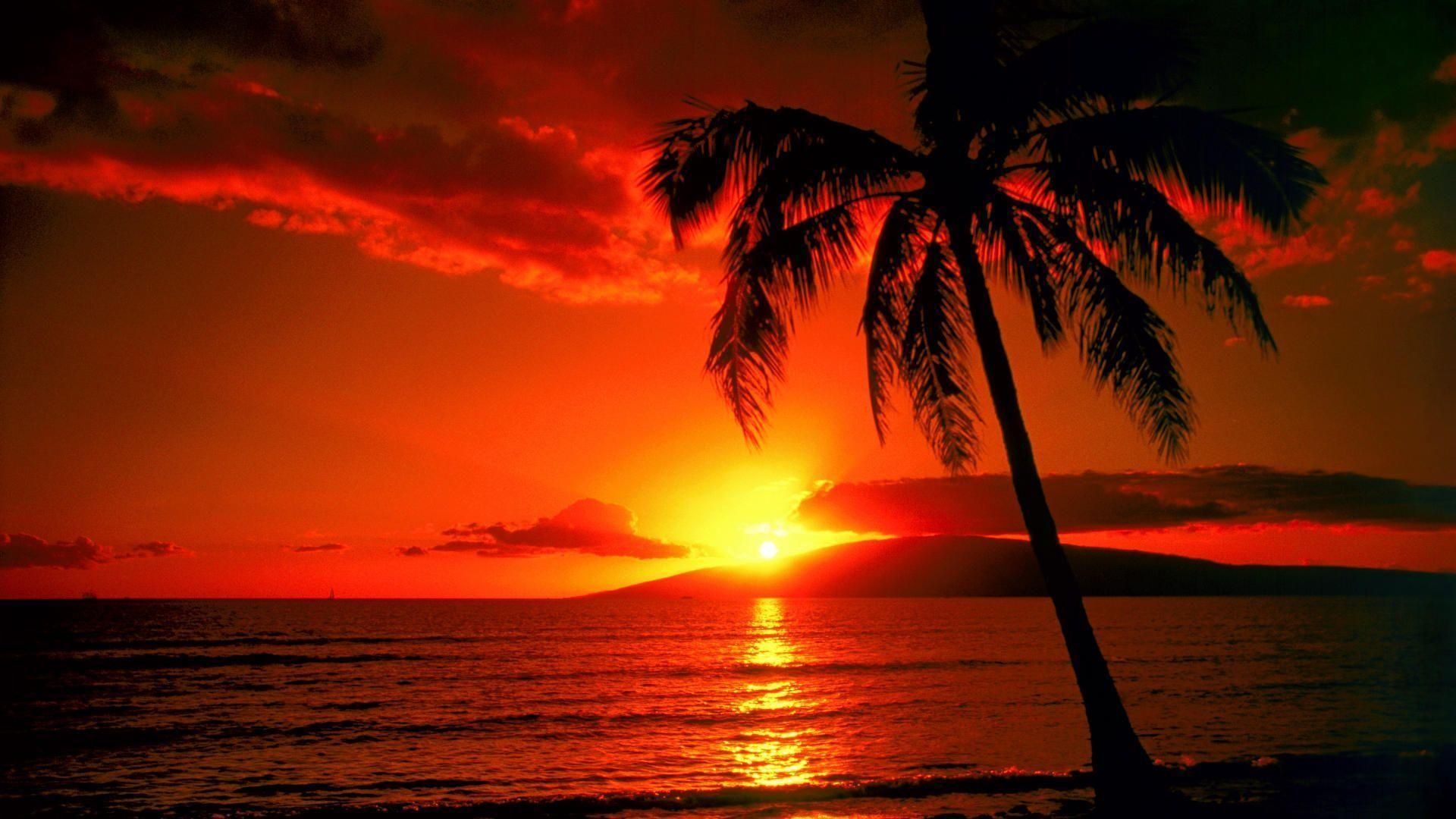 hawaii beach sunset wallpaper Lujo hawaii sunset fondos de pantalla