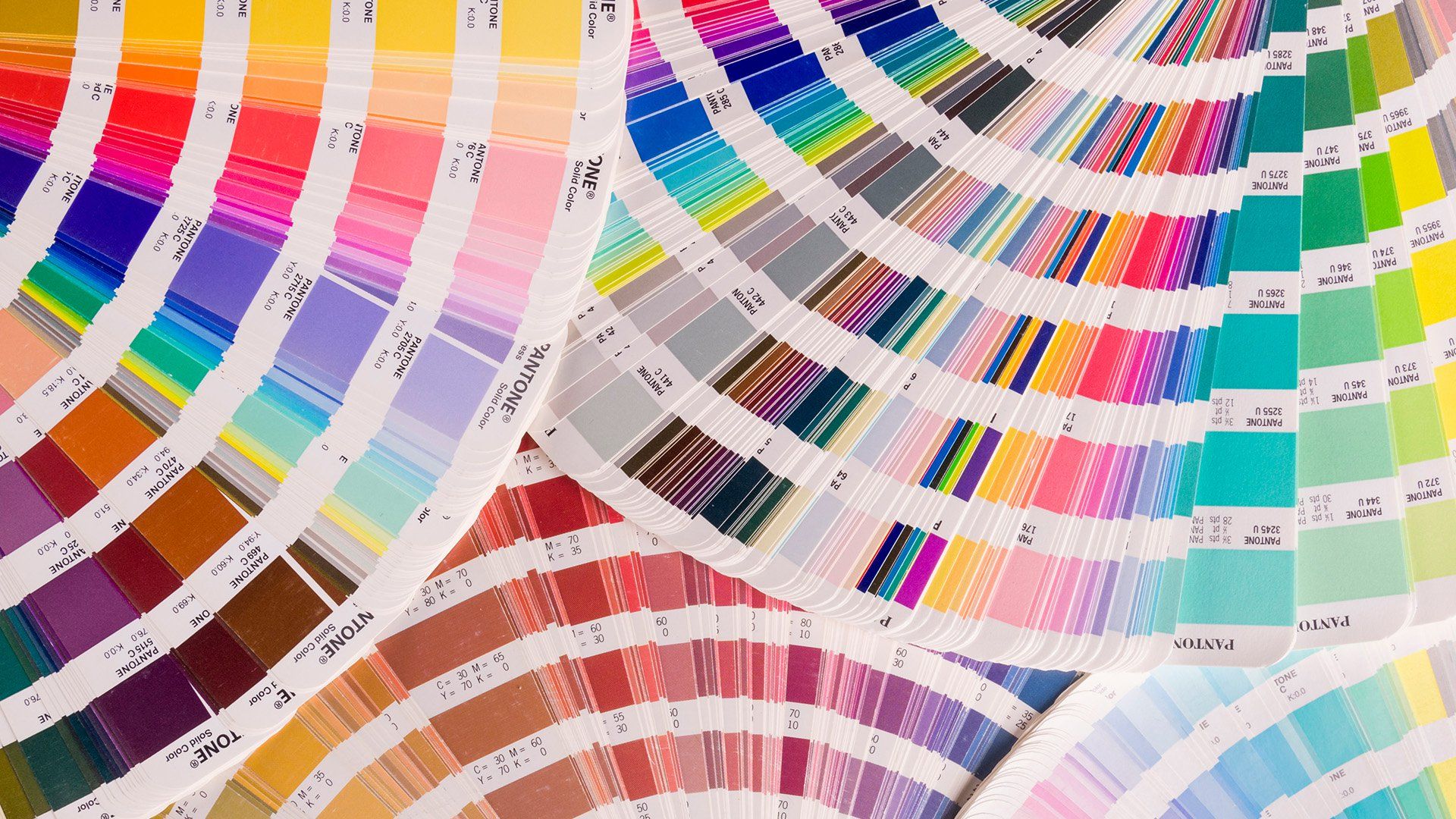 10 secretos de inspiración de color que solo los diseñadores conocen - Aprenda