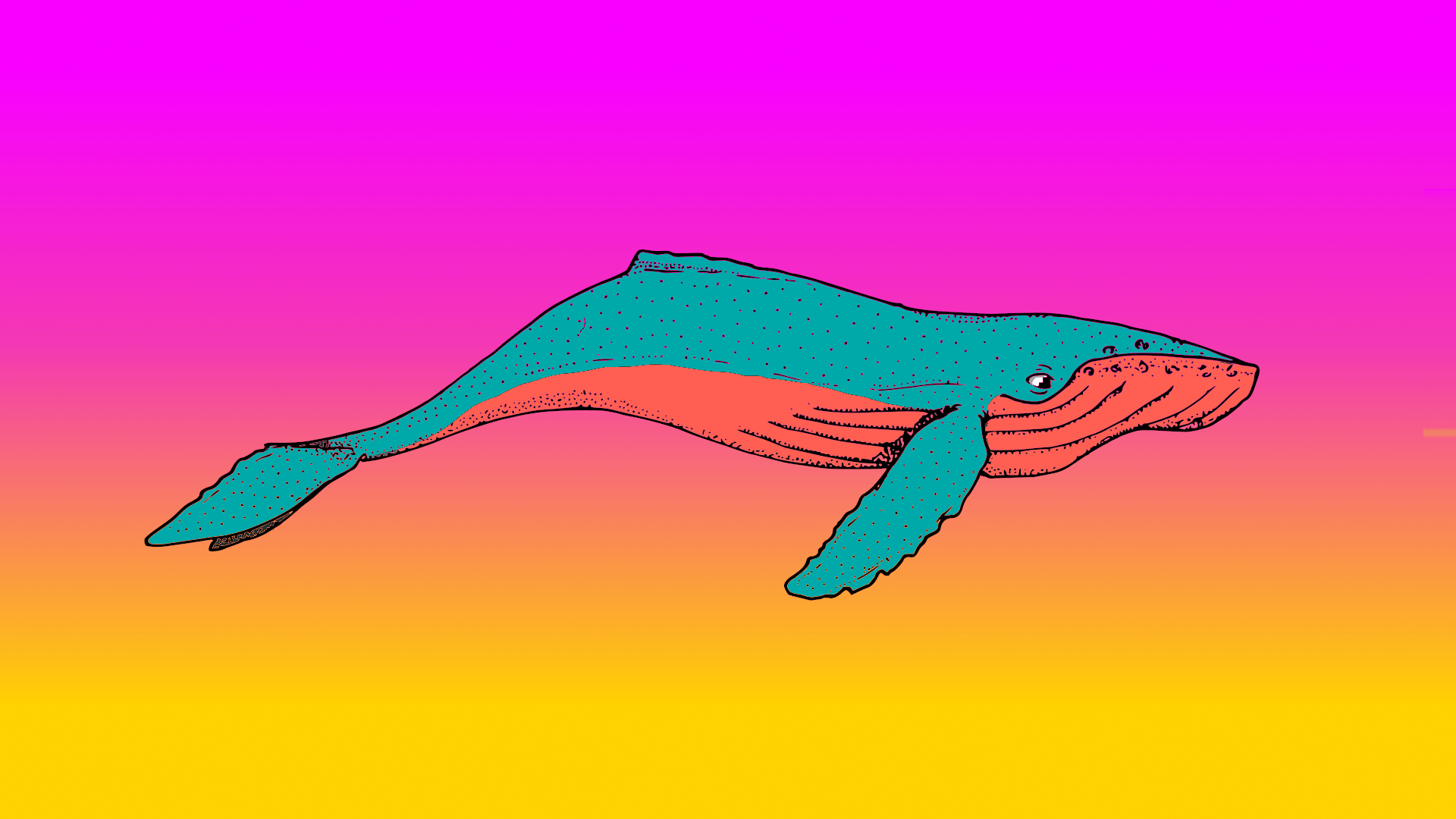 Una ballena muy colorida (1920x1080): fondos de pantalla