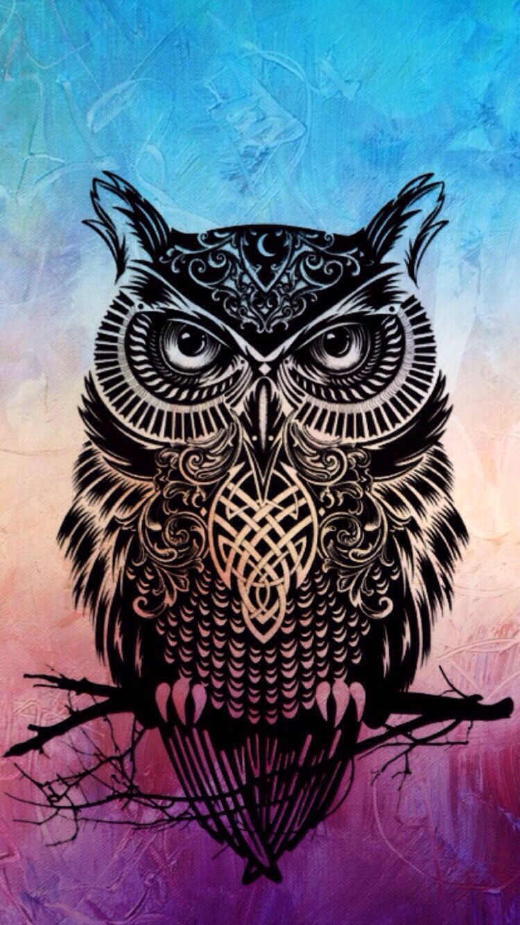Pin de Zahrotul Kamelia en OWL | Owl wallpaper iphone, Owl wallpaper