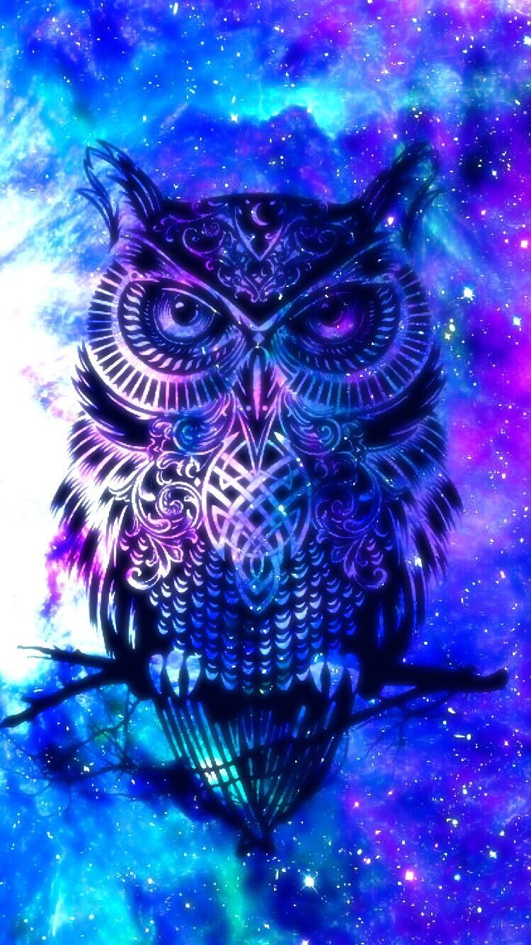 Owl galaxy cute | Búho en 2019 | Fondo de pantalla de búho, fondo de pantalla Galaxy