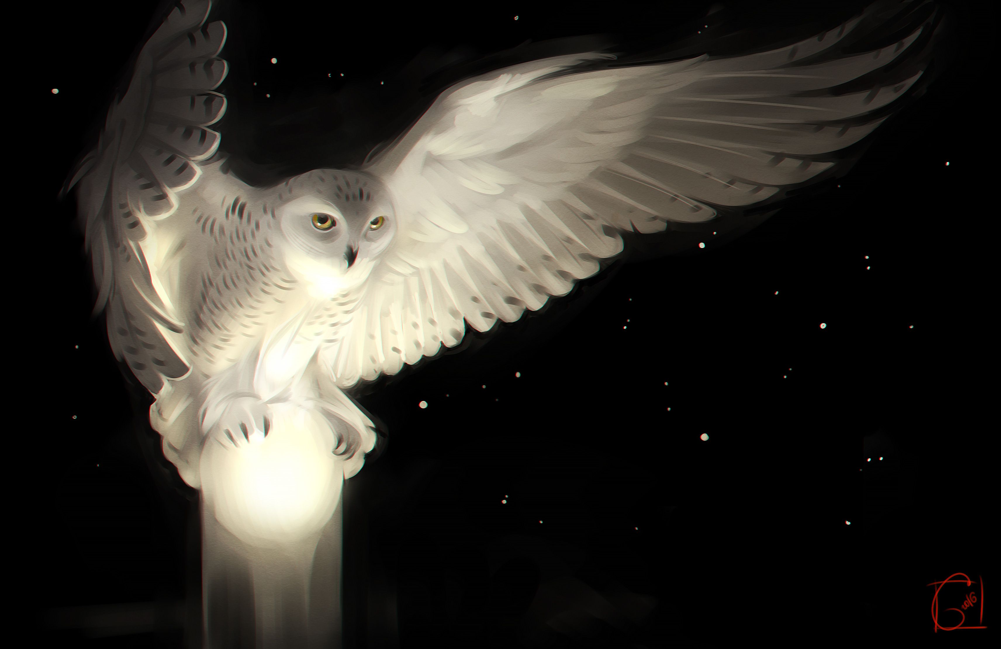 Snowy Owl, artista HD, fondos de pantalla 4k, imágenes, fondos, fotos y