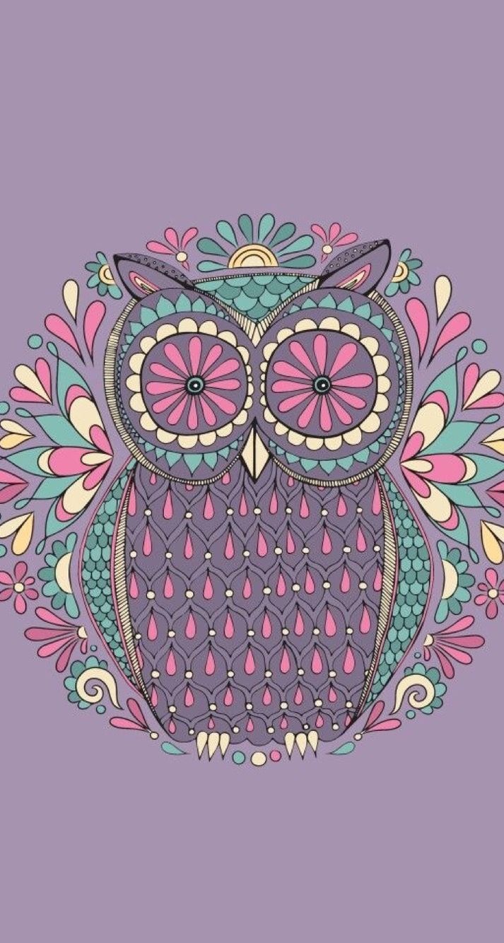 Coloridos dibujos animados Owl Wallpapers Free Is 4k Wallpaper - Cute