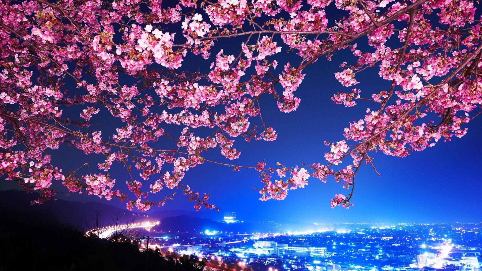 Cute 3D Japanese Wallpapers - Top Free Cute 3D Japanese Backgrounds
