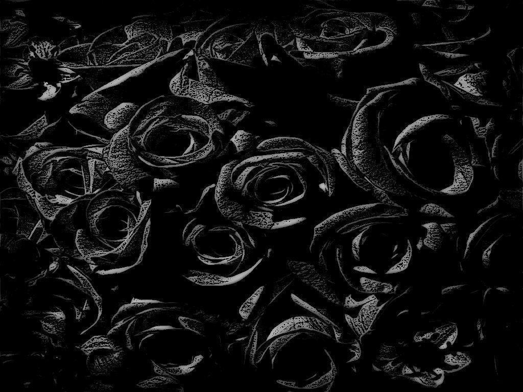 Black Rose Wallpapers - Wallpaper Cueva