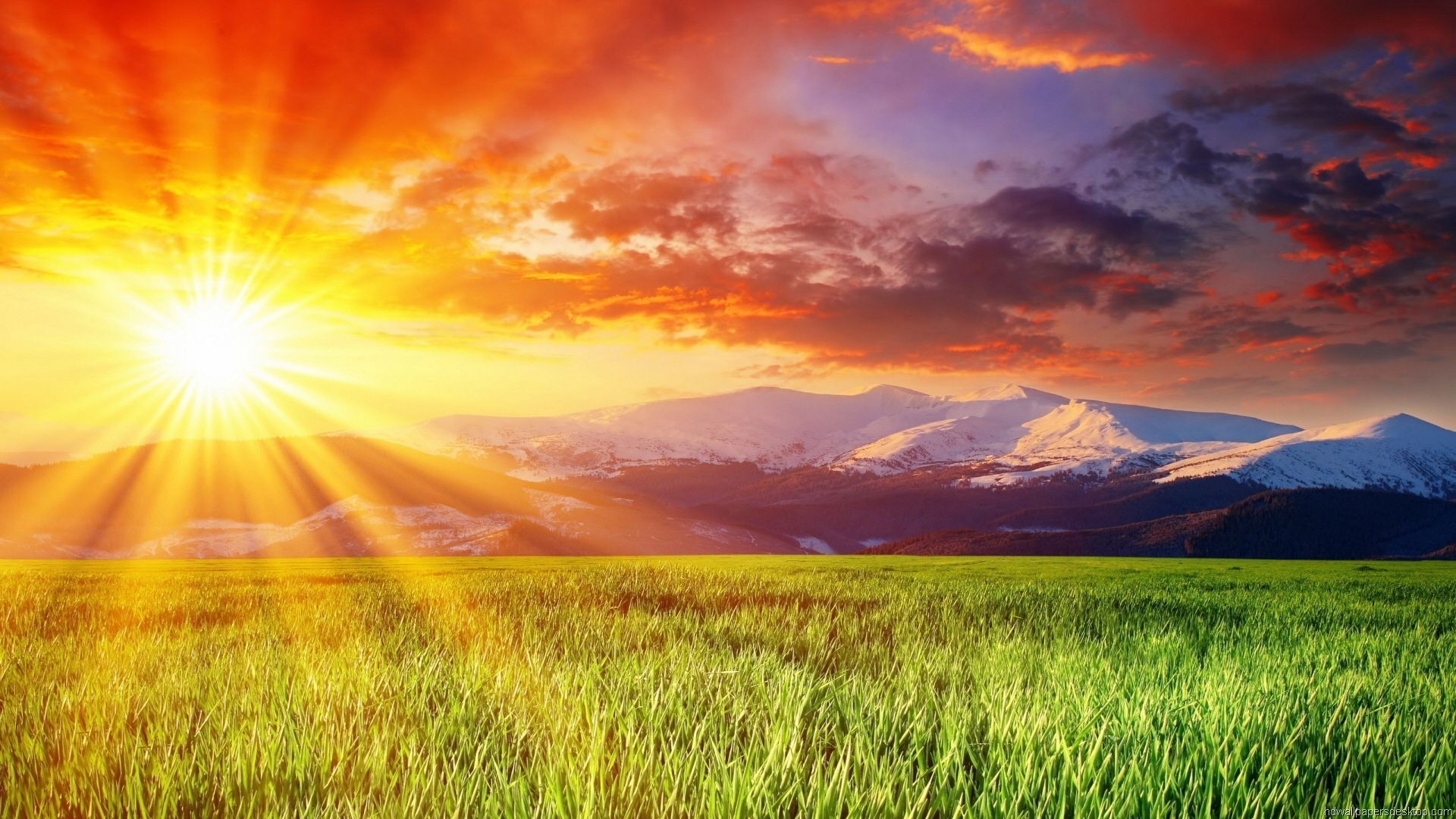 Naturaleza HD fondos de pantalla: Shining Sun Skies | Colección 1 en 2019