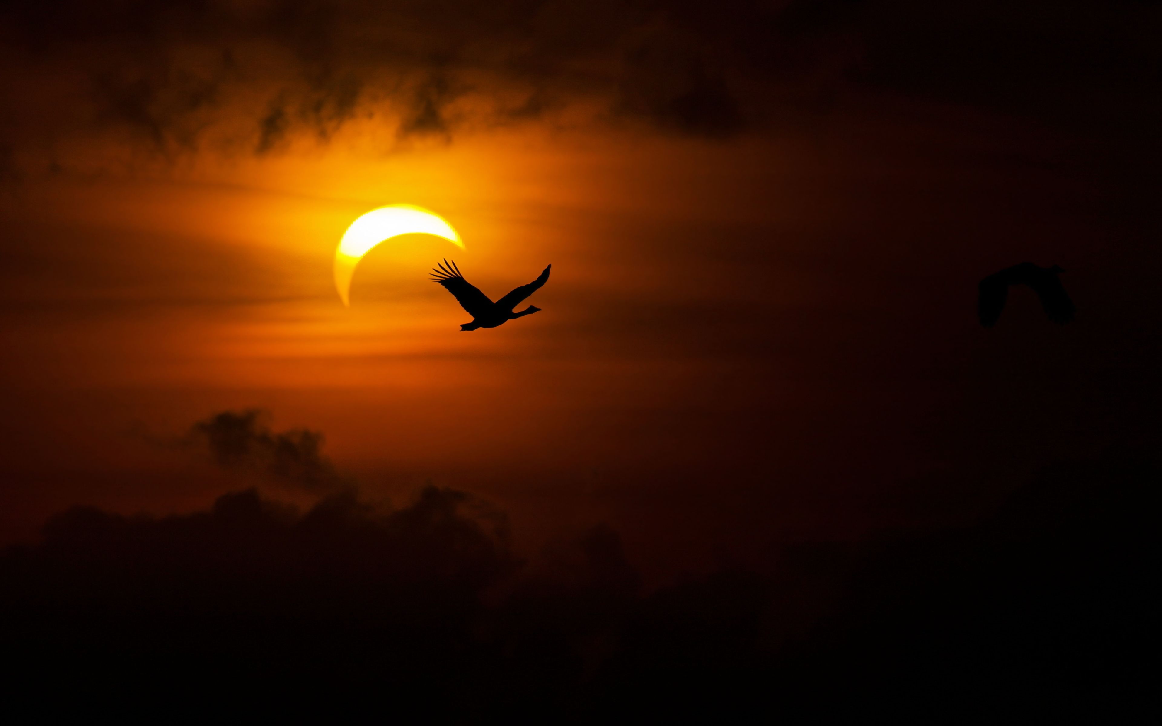 14 Fondos de pantalla de Eclipse solar HD | Imágenes de fondo