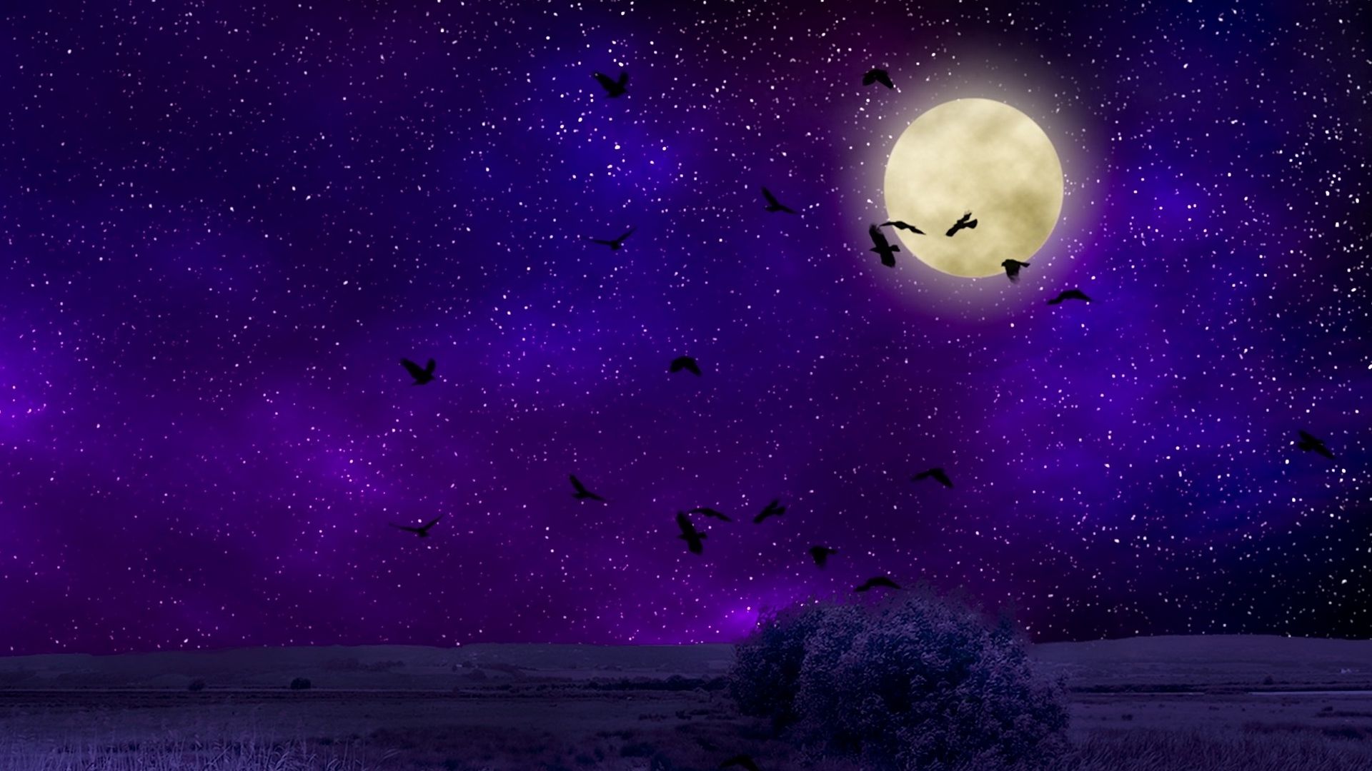 Moon Birds Night Sky Artístico fondo de pantalla HD - Wallpaper Stream