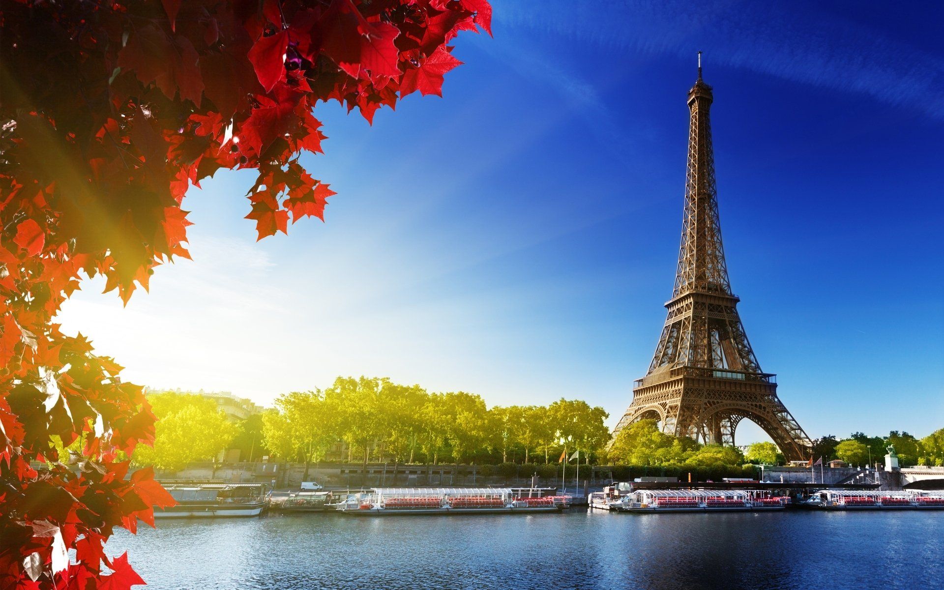 254 Torre Eiffel Fondos de pantalla HD | Imágenes de fondo