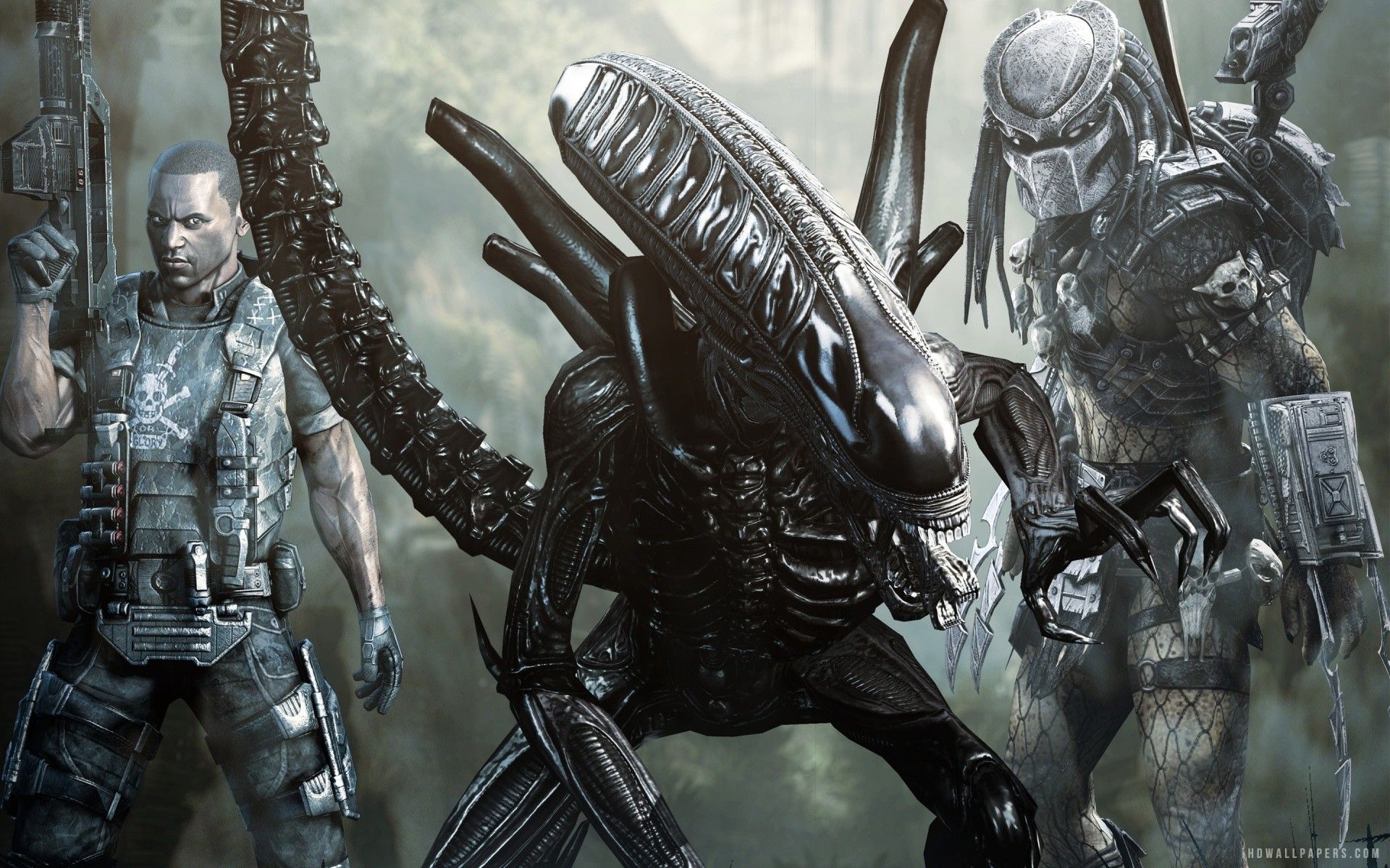 Fondo de pantalla de Aliens vs Predator (más de 75 imágenes)