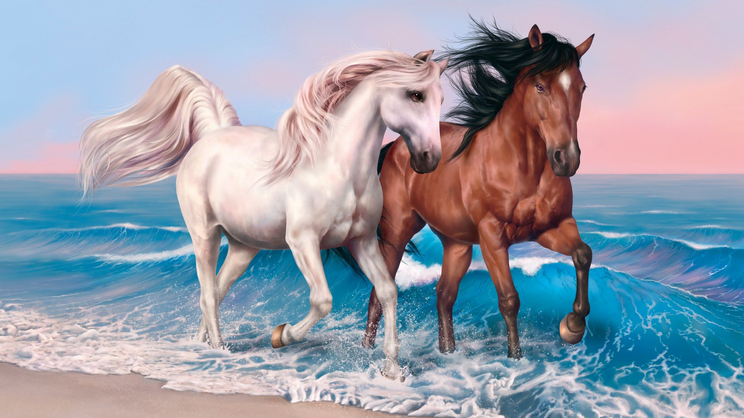 Fondo de pantalla de caballos, 4k, fondo de pantalla HD, correr, mar, océano, puesta de sol, blanco