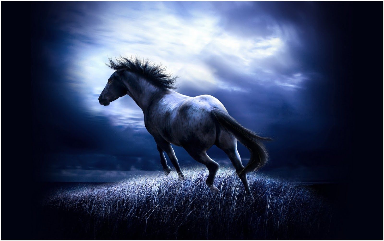 Top 21 caballos fondos de pantalla hermosa colección - PicsBroker.com