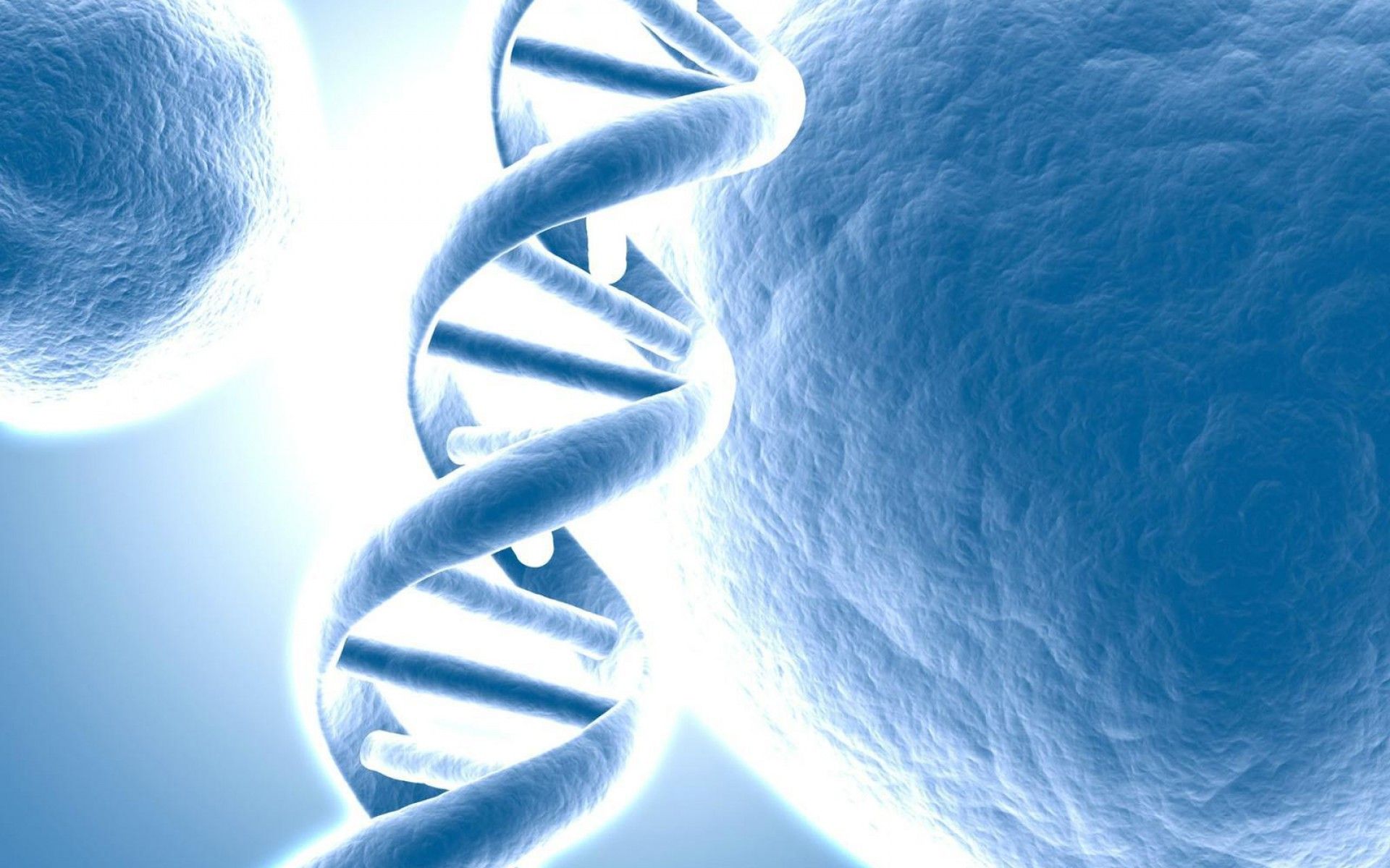 Fondo de pantalla de Estructura de ADN # 6972887