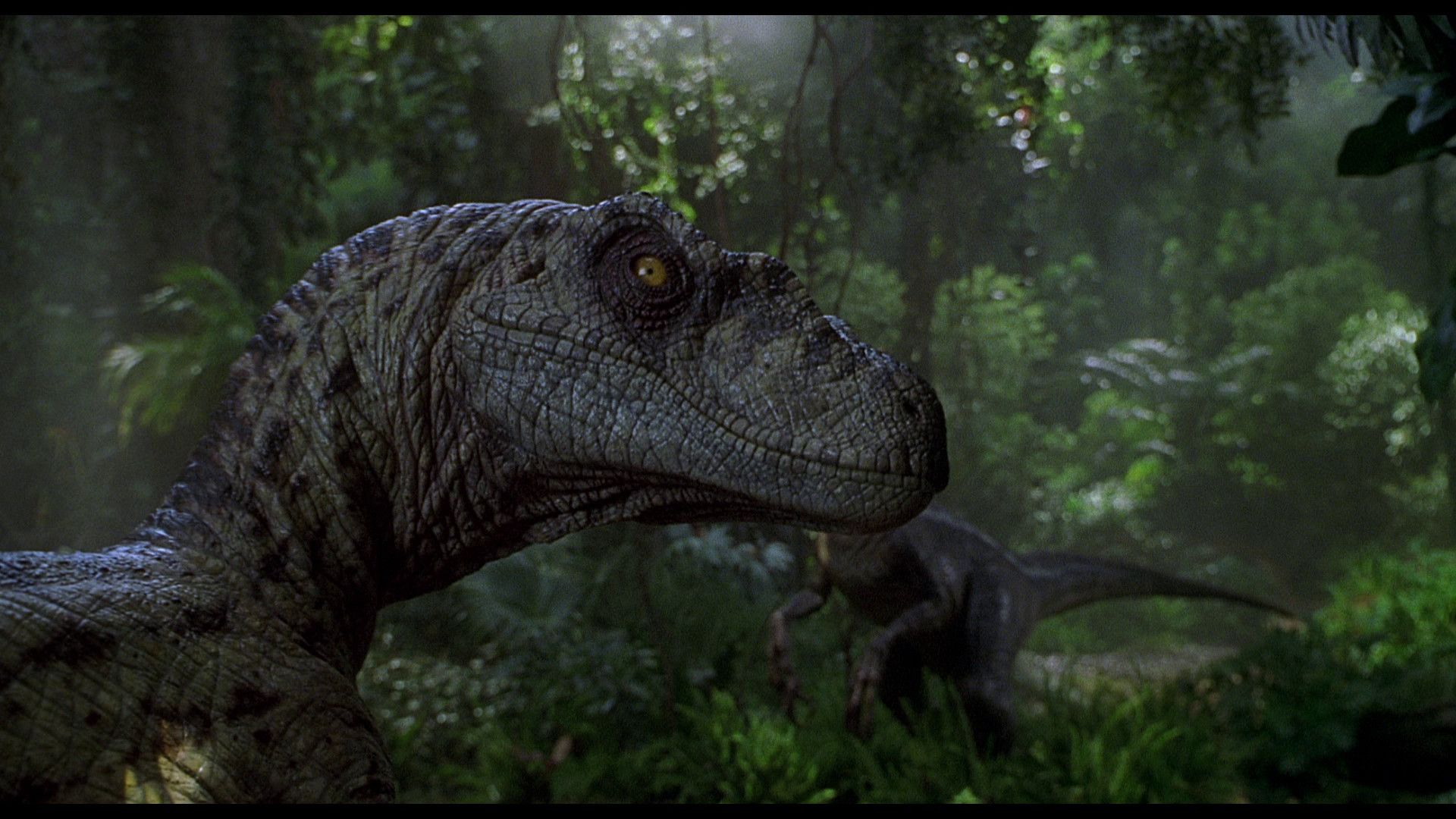 Fondo de pantalla de Jurassic Park 3 · ① Fondo de pantalla