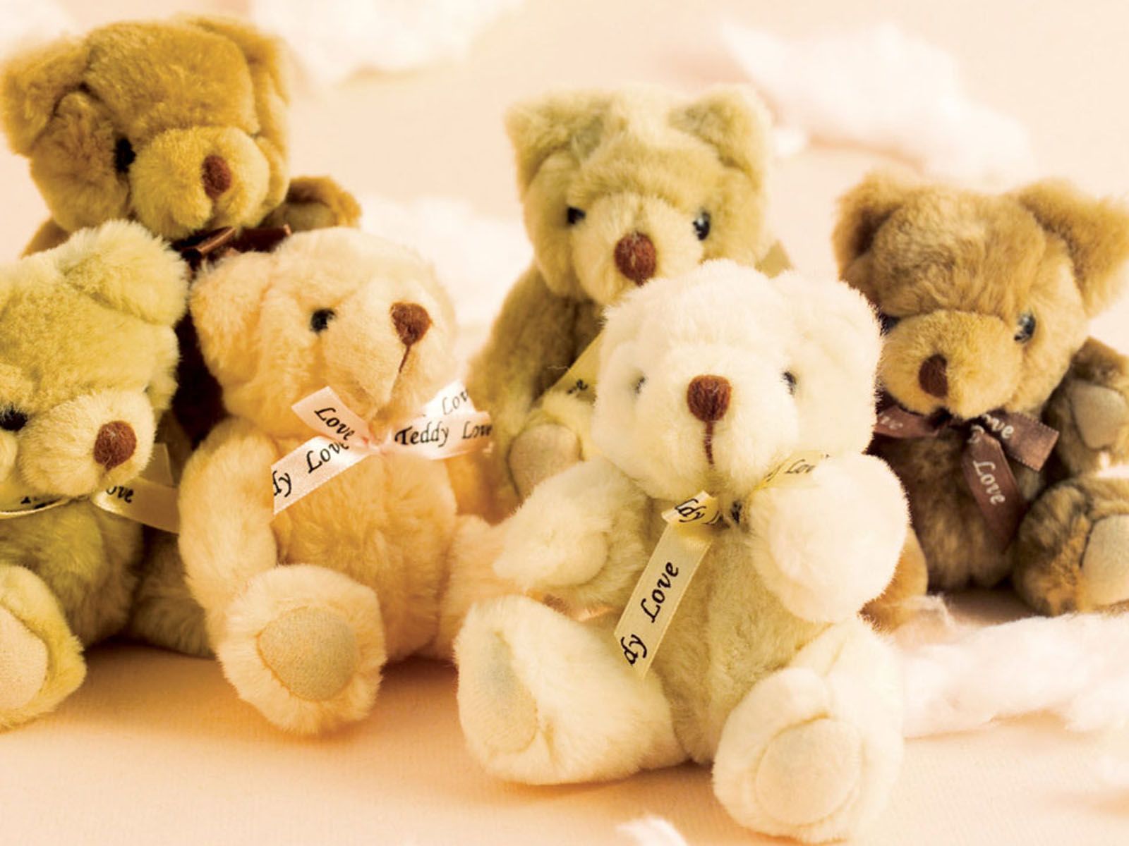 76+] Cute Teddy Bears Wallpapers