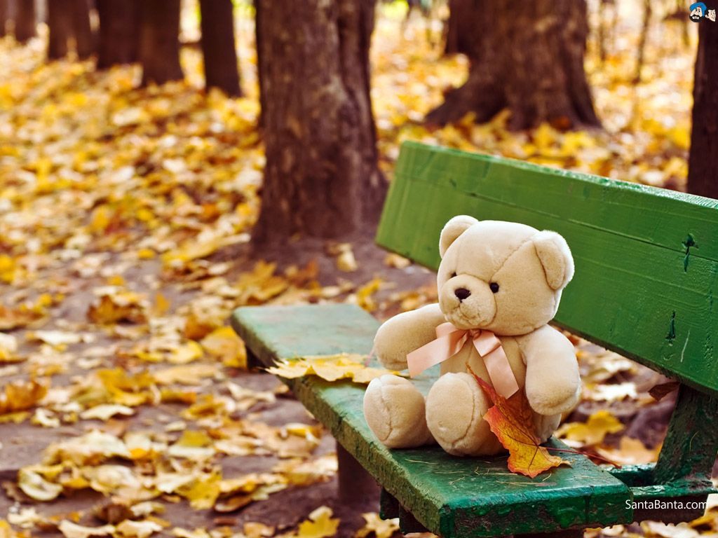 Cute Teddy Bear Wallpapers para niños pequeños y niños PIXHOME 1024x768