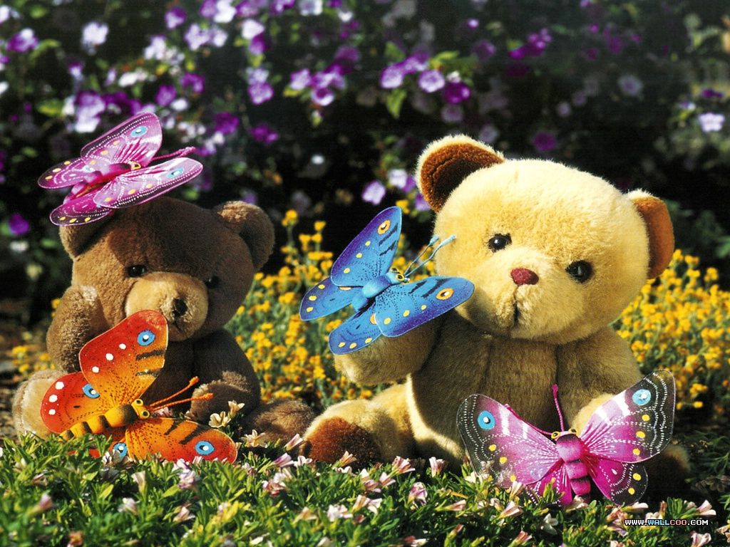 Taddy Bear Image - descarga HD en digitalimagemakerworld.com gratis