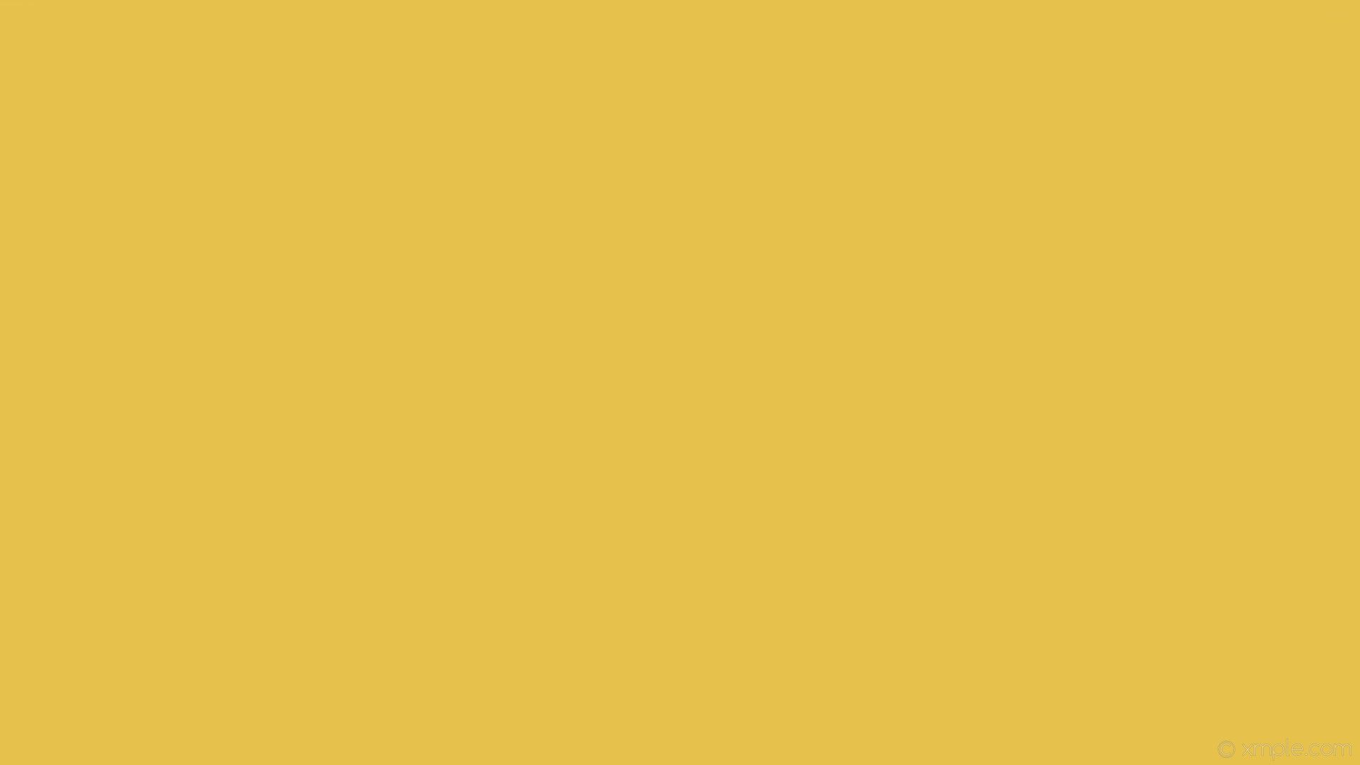 Fondos de pantalla amarillos estéticos Full Hd - Vector fondo amarillo liso