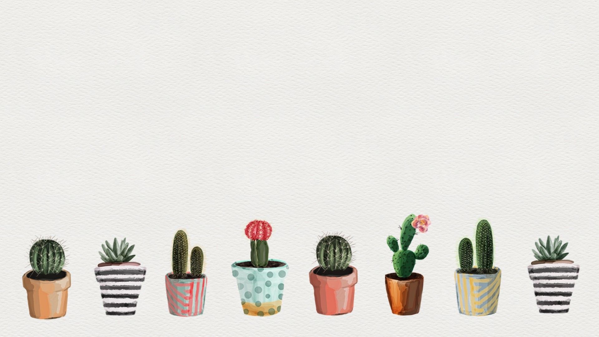Cactus Wallpaper (52+ imágenes)