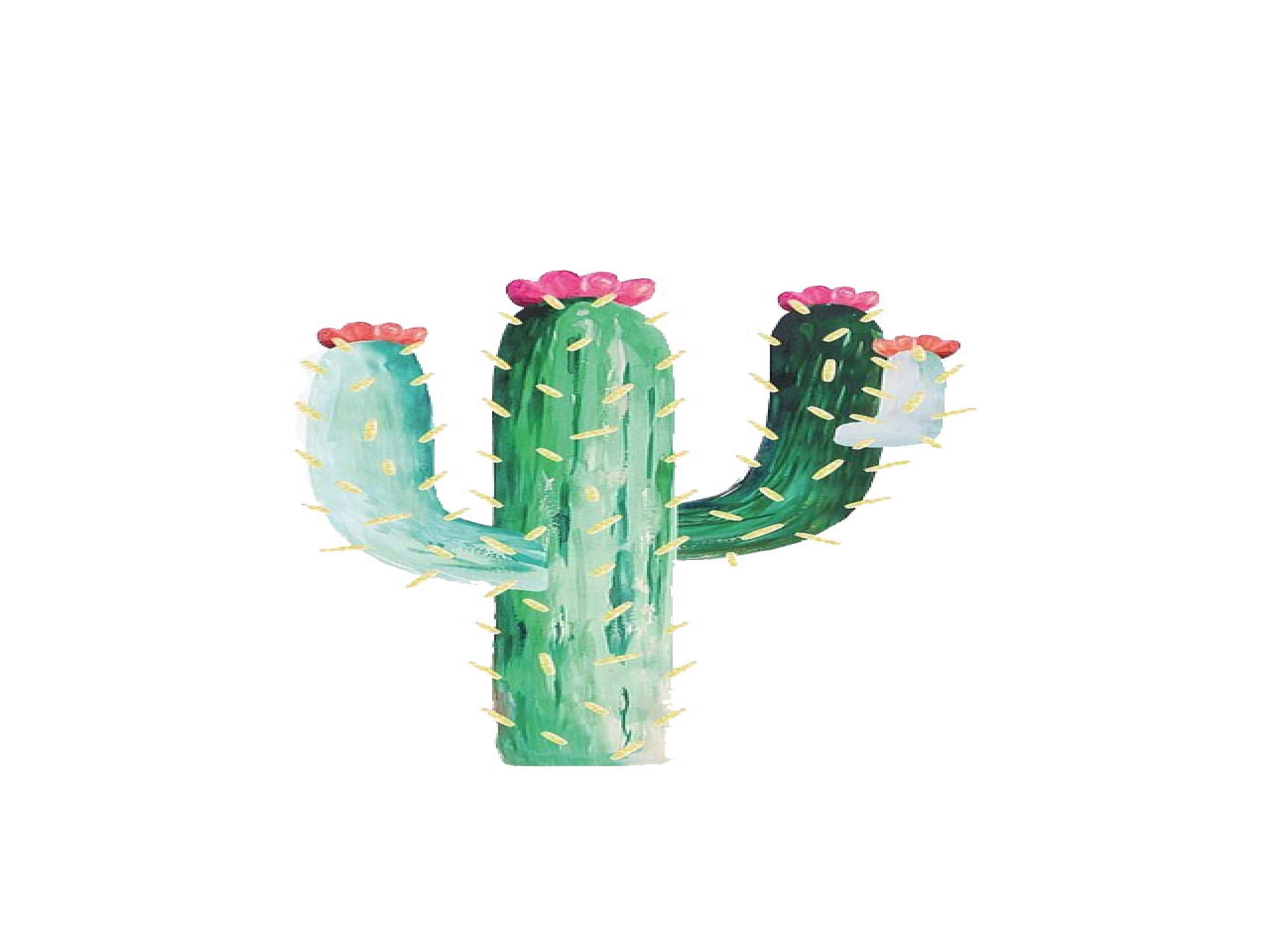 Fondos de Cactus gratis # 9A28MA1 - 4USkY