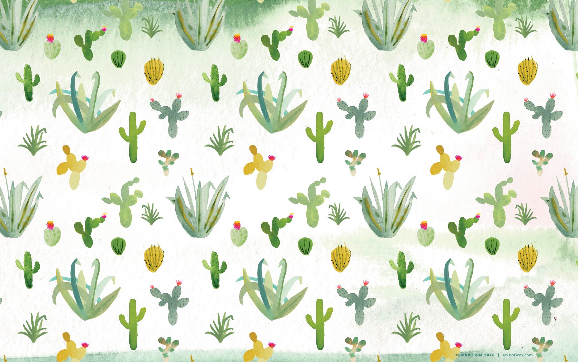 Cactus Wallpaper 8 - 1856 X 1161 | stmed.net