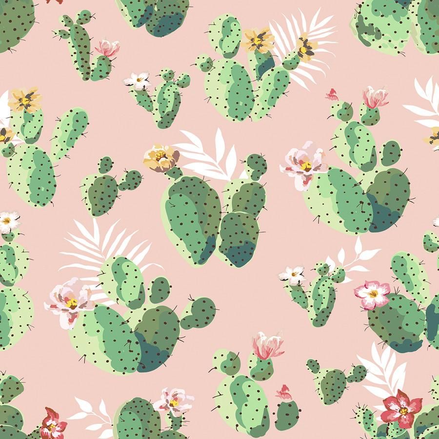 Cactus en rosa