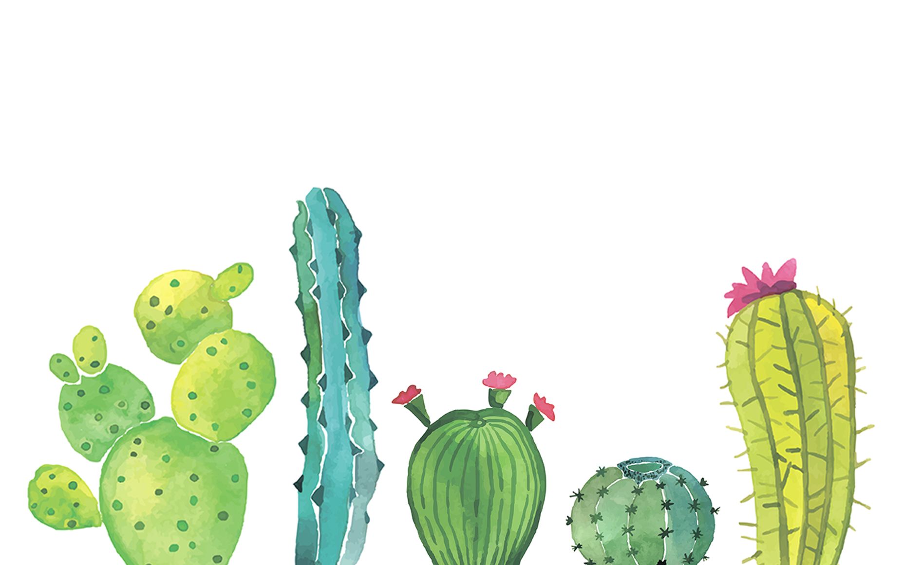 Cactus Desktop Wallpapers - Los mejores fondos de escritorio de Cactus gratis