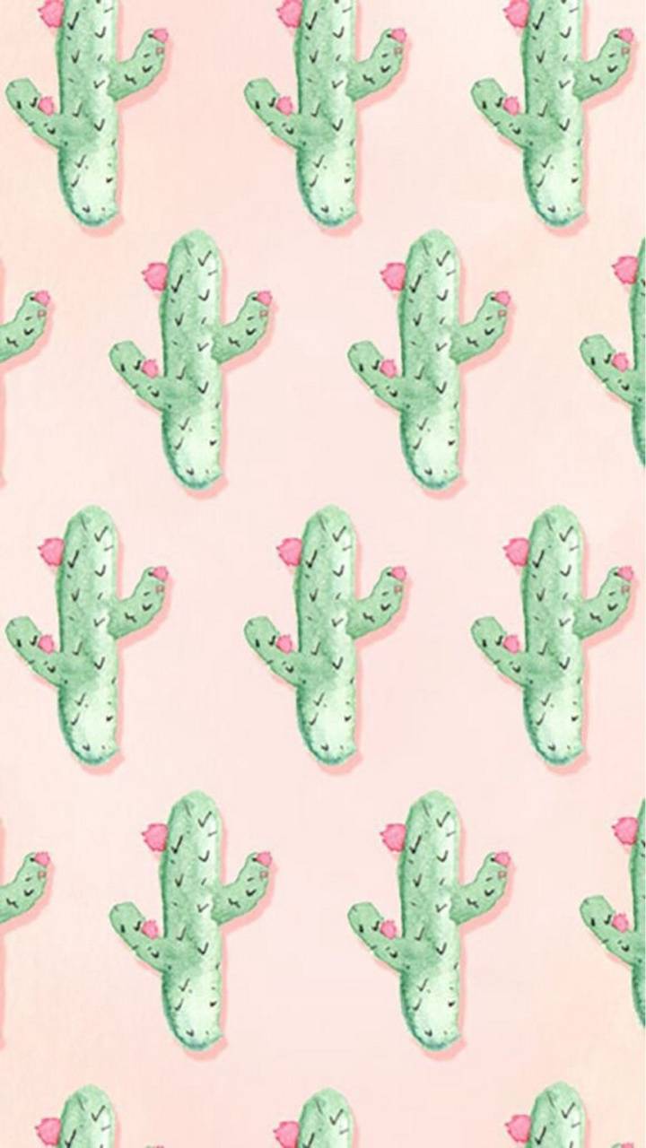 Cute Cactus Wallpaper por nightraven9 - 8c - Gratis en ZEDGE ™