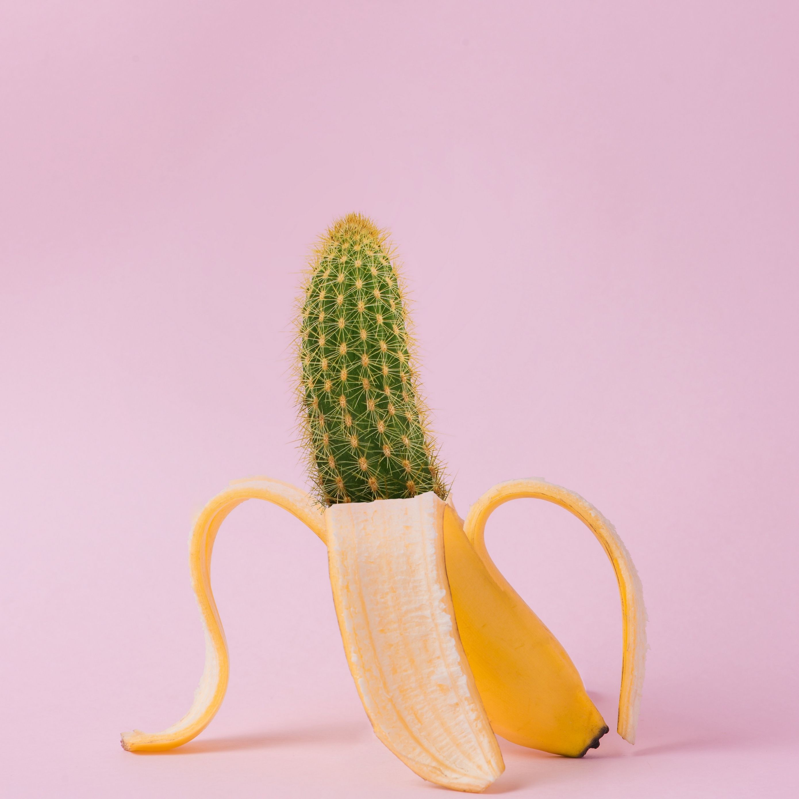 Descargar fondo de pantalla 2780x2780 plátano, cactus, creativo, minimalismo