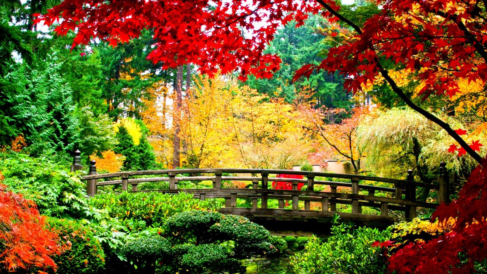 Hermosos fondos de pantalla en el mundo - Puente japonés en otoño (# 9080