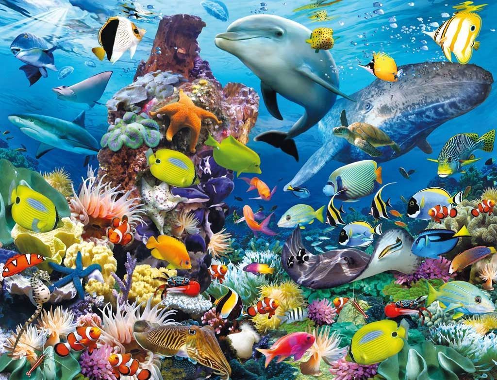 Increíble HD Fondos de peces de mar Colección. - Remix Video | Marina