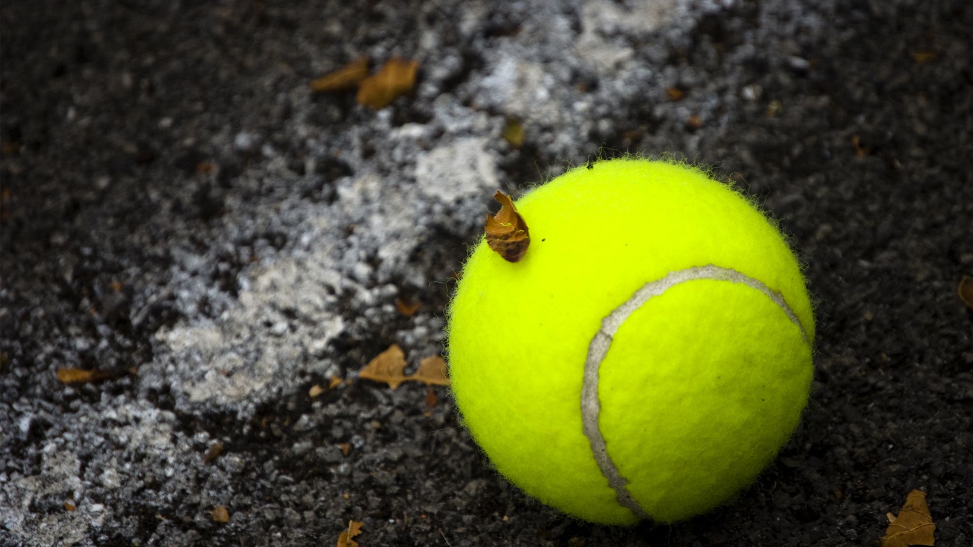Fondos de tenis | Mejores fondos de pantalla
