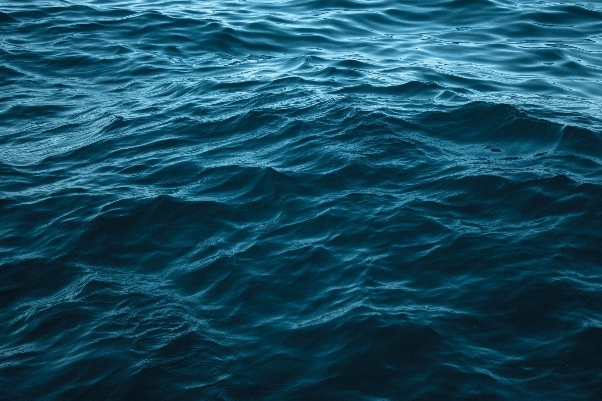 Fondos de agua del océano (más de 70 imágenes de fondo)