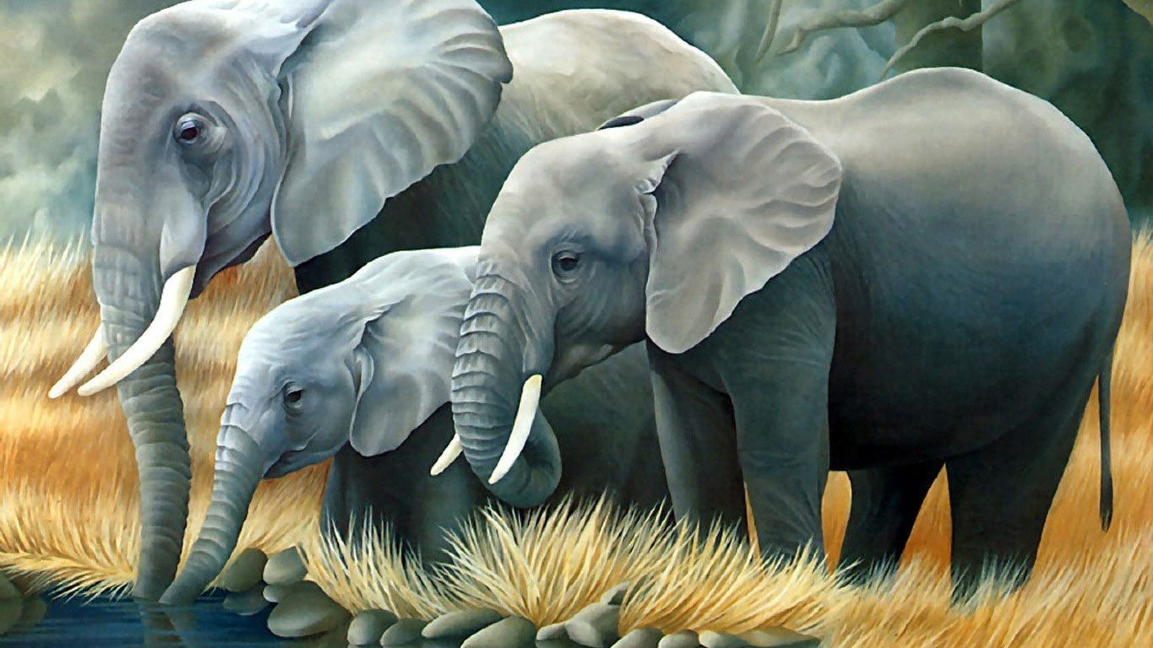 Fondo de pantalla 4K de 3D Elephant | HD Wallpapers
