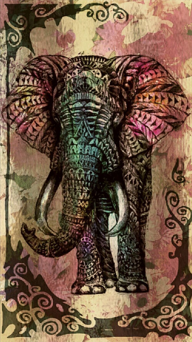 Fondos de Elefante para iPhone en MarkInternational.info