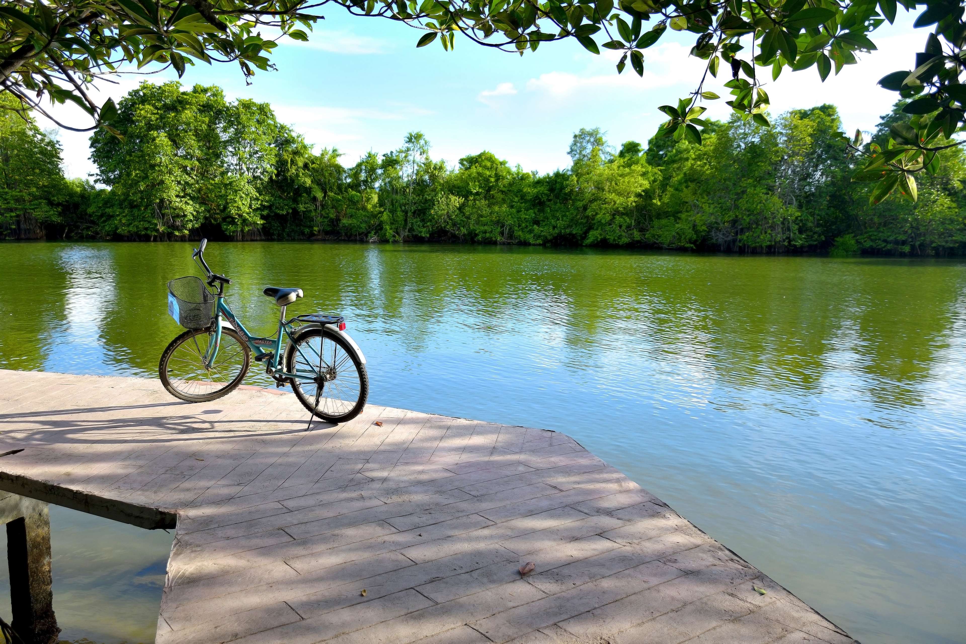 3097265 bicicleta, relajarse, relajarse, color, jardín, verde, lago, tierra