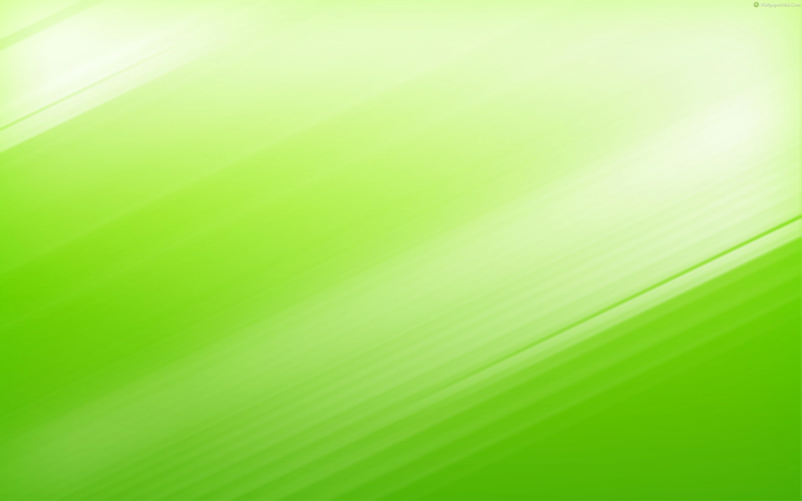 Descargar Stunning Plain Green Wallpaper 2560x1600 - Pared Full HD