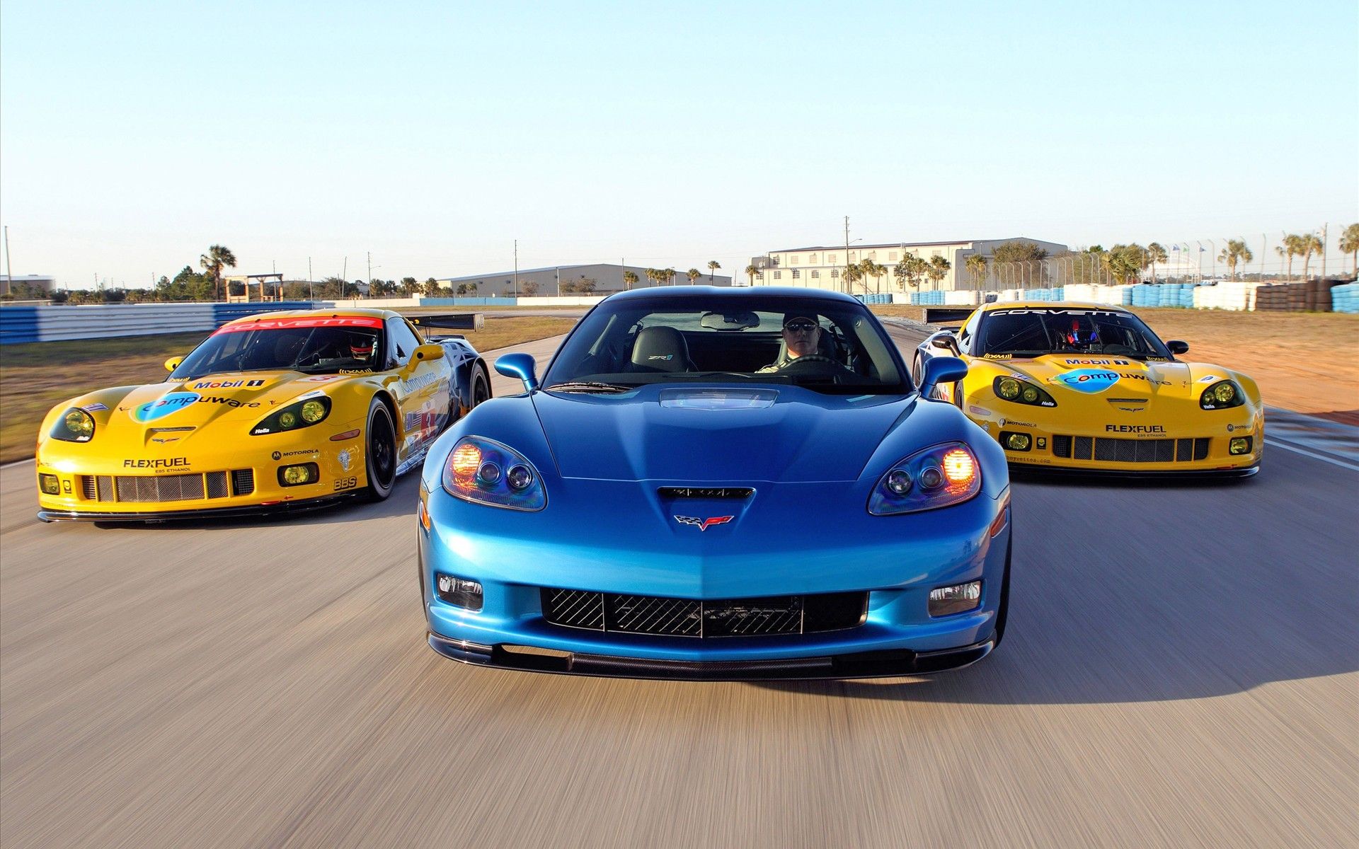 2010 Corvette Racing Sebring Cars fondos de pantalla | HD Wallpaper
