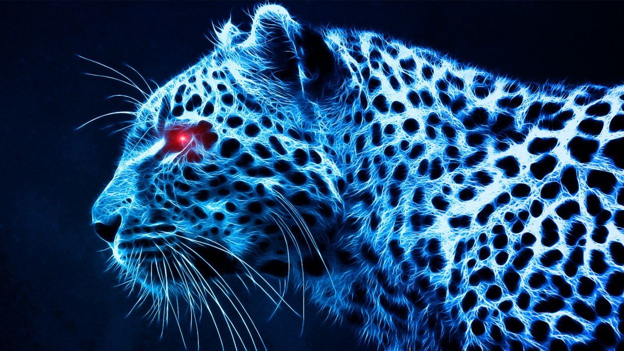 Fondo de pantalla de leopardo | 1920x1080 | 209651 | WallpaperUP