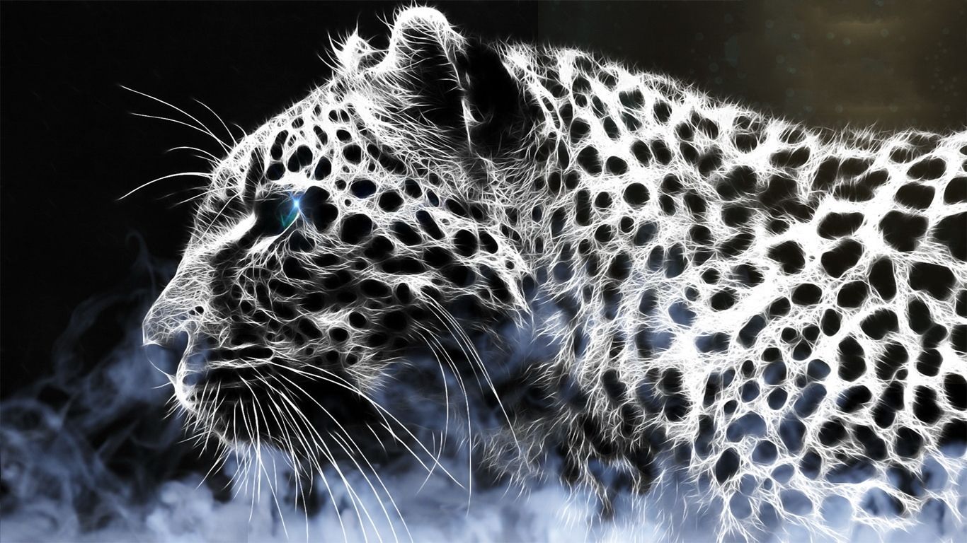 Leopard Pic de Justin Petrie en FeelGrafix 1366 × 768 Imágenes de leopardo